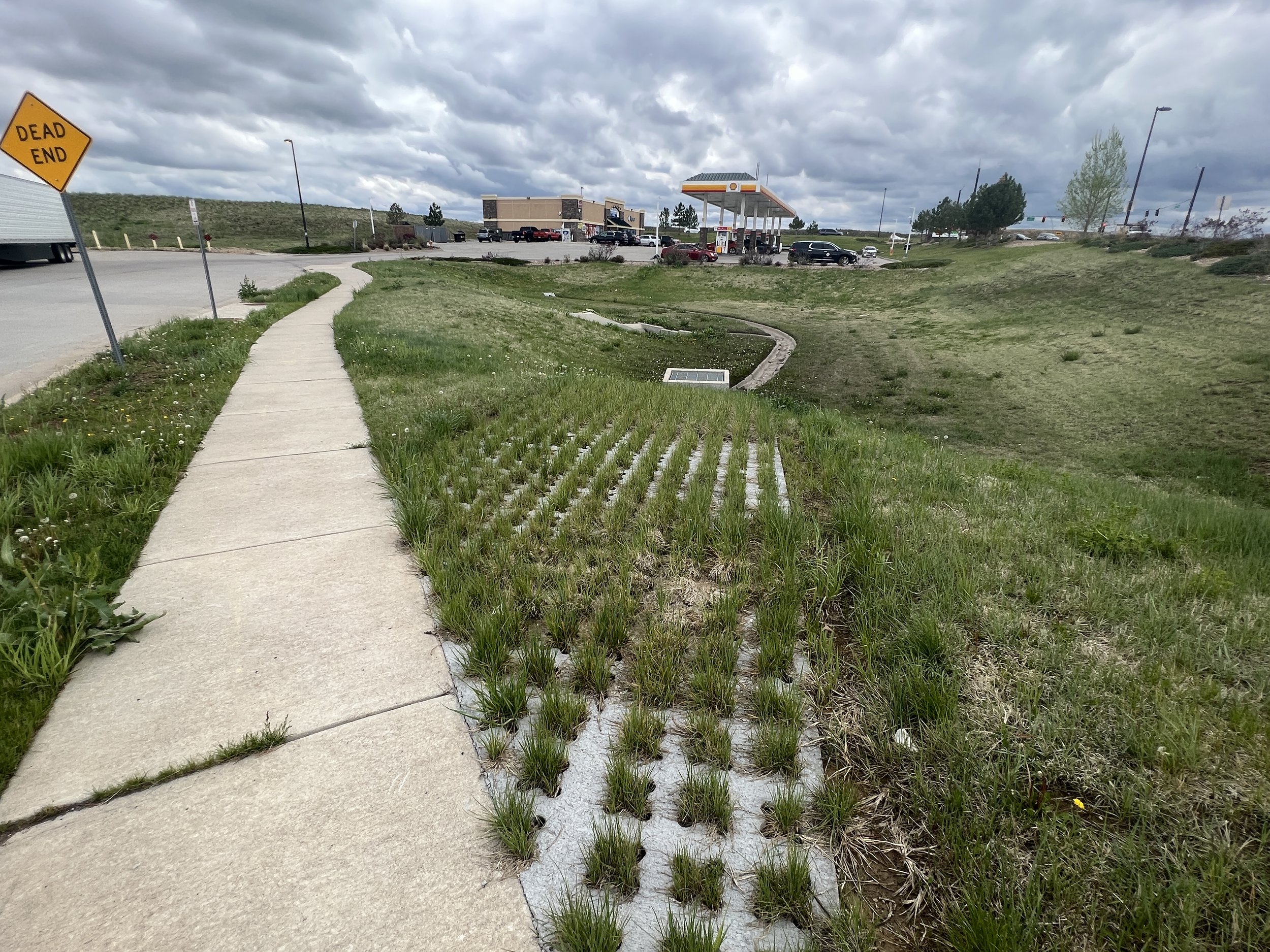 Grasscrete in Colorado