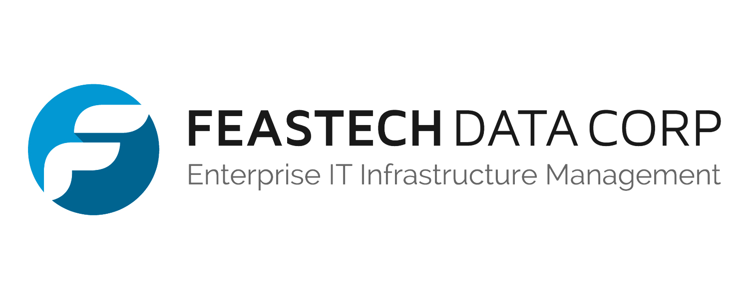 FEASTECH DATA CORP