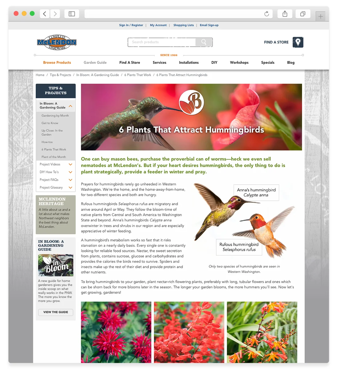 A 6 Plants that Work Page