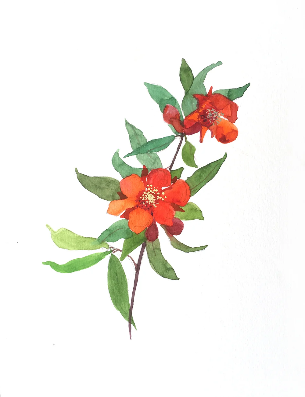 Watercolor Spring 1.5.jpg