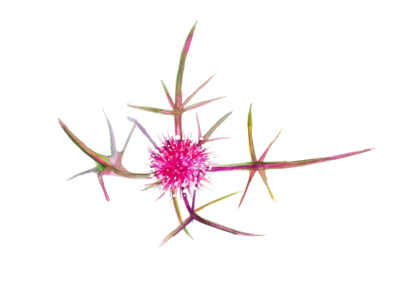 Watercolor Spring 1.1.jpg