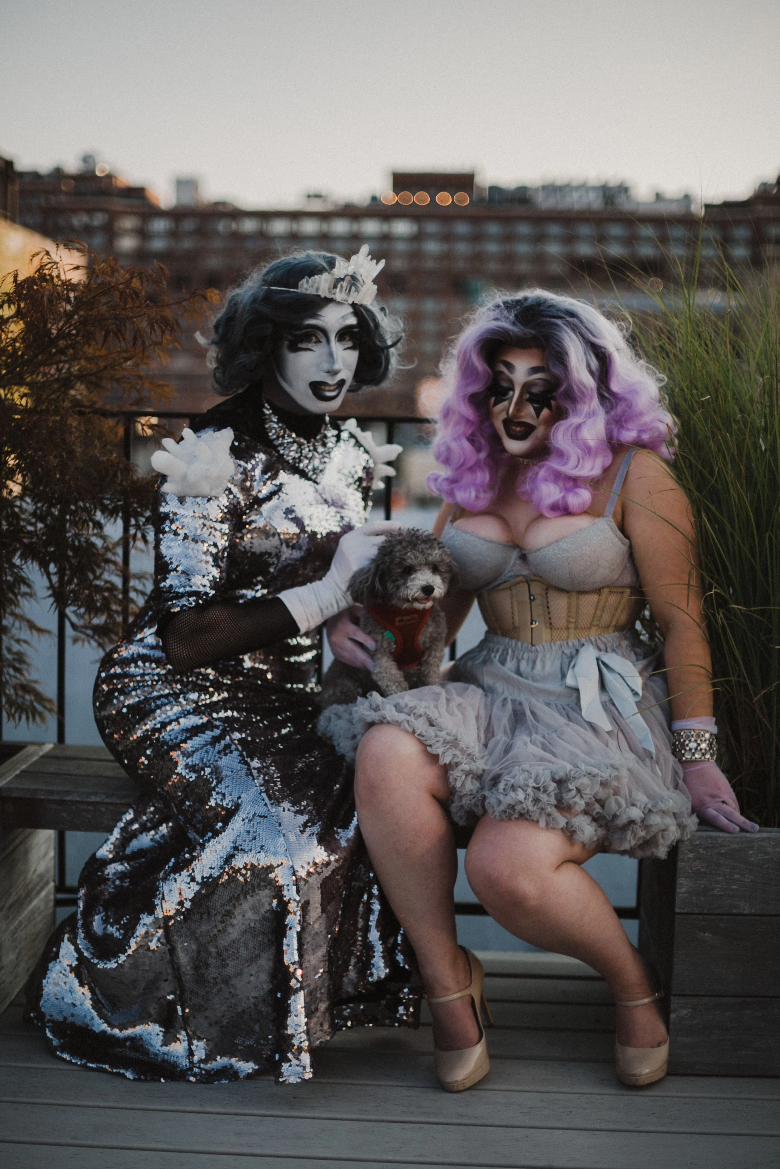 Drag_074.jpg