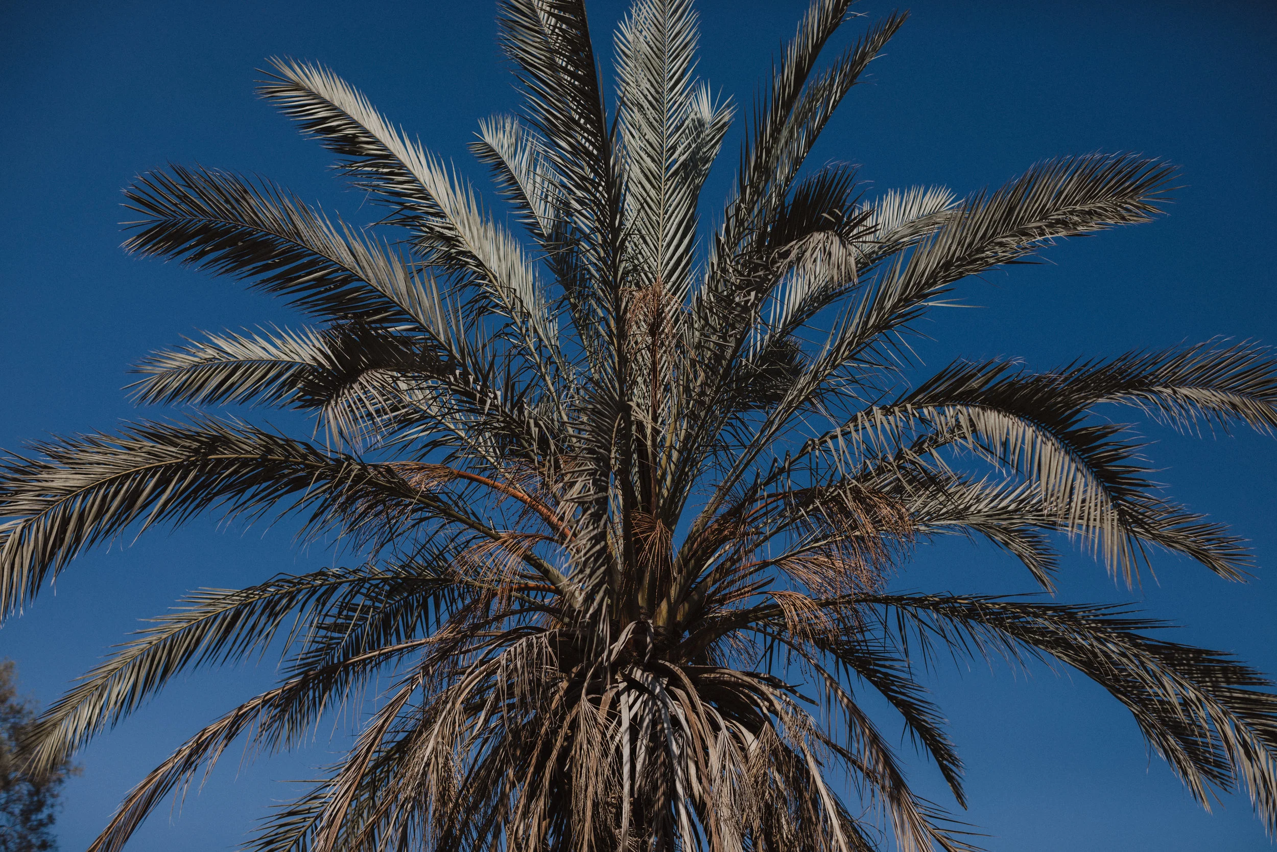 israel-793.jpg