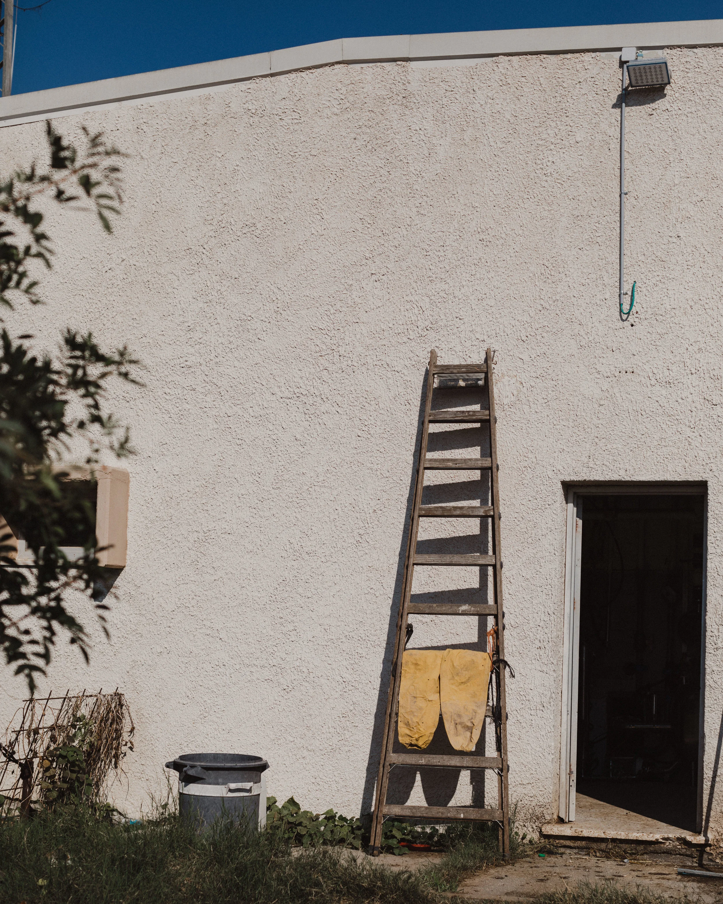 ladder-crop.jpg