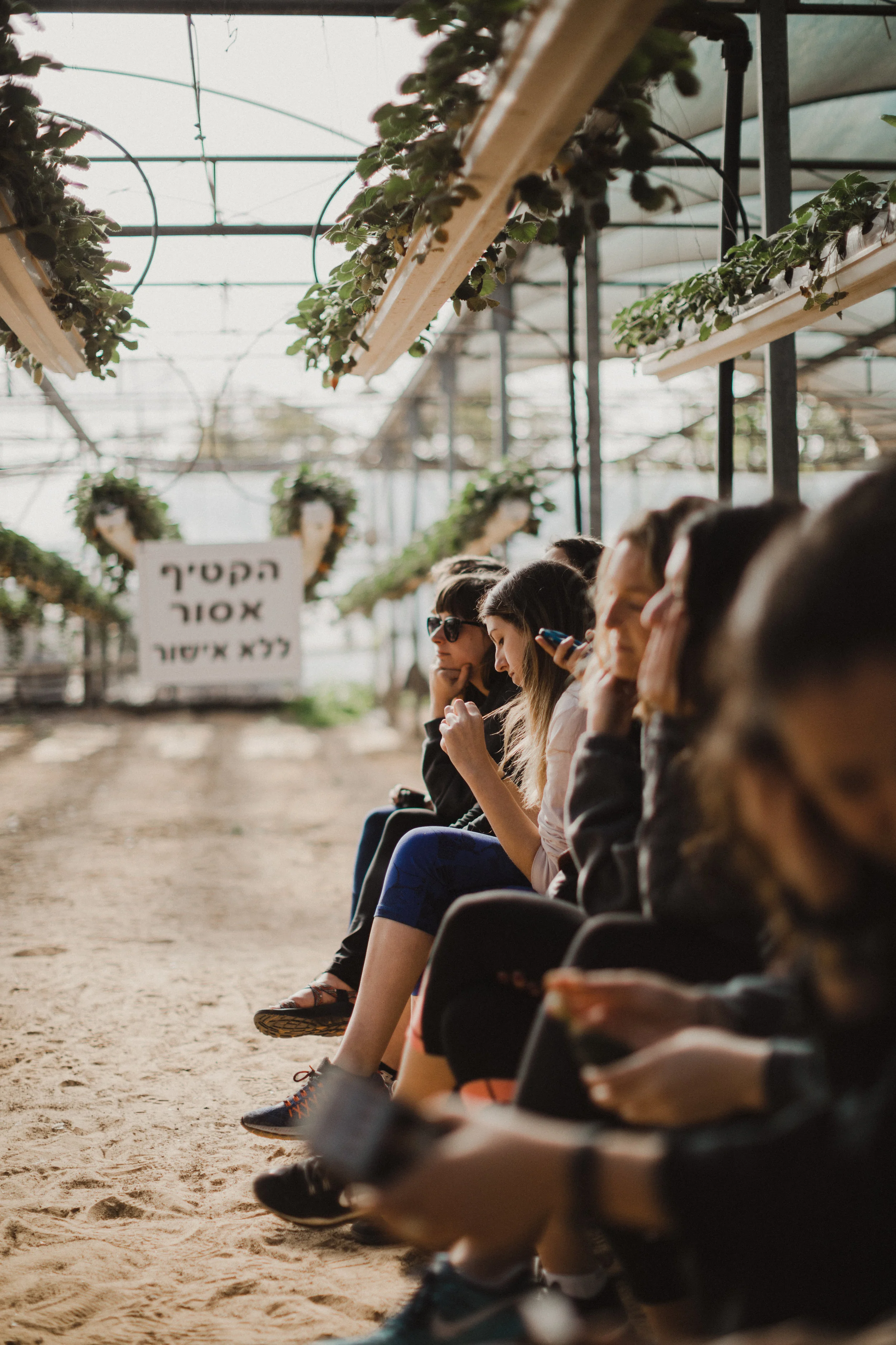 israel-1064.jpg