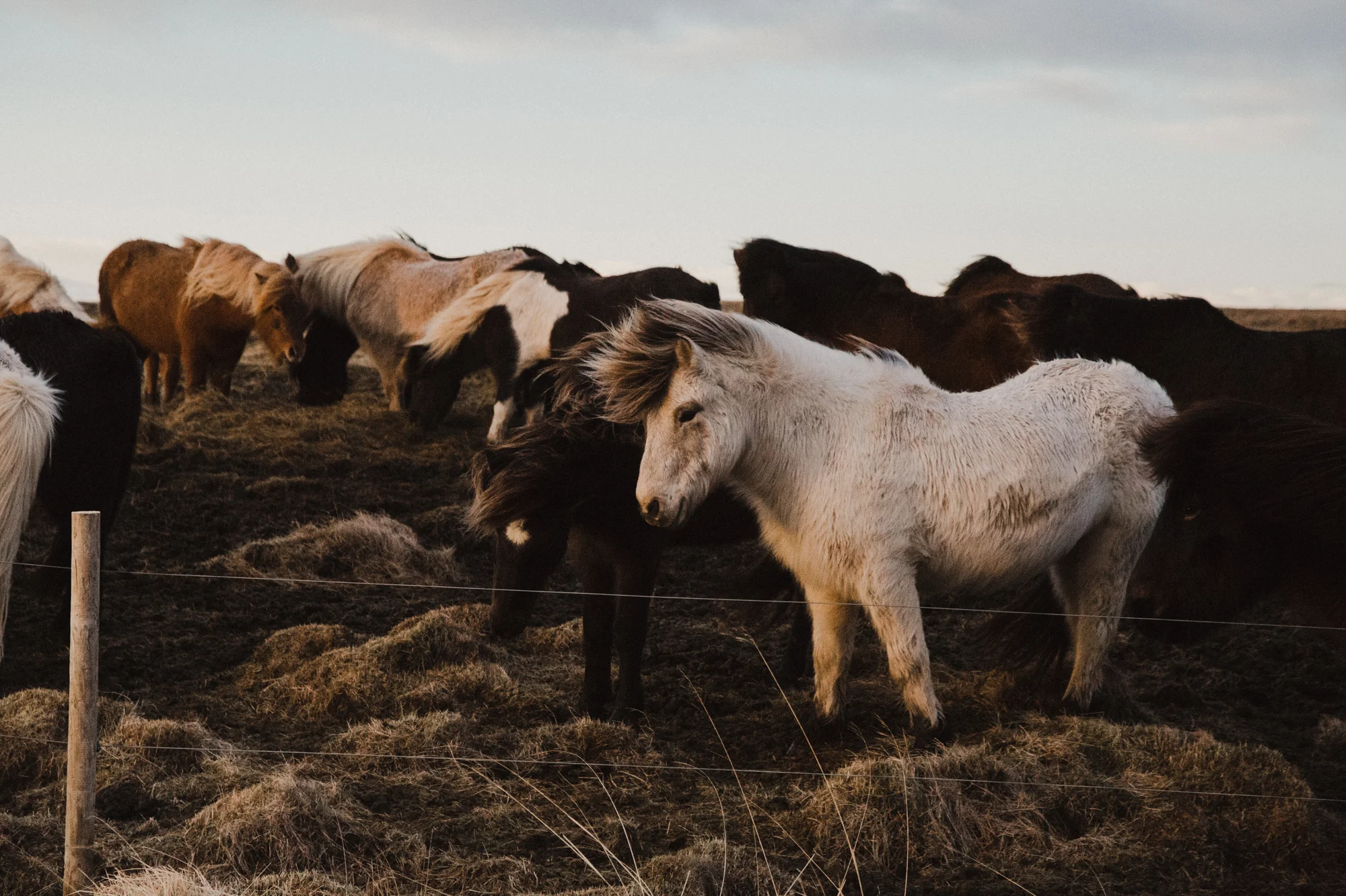iceland-12.jpg