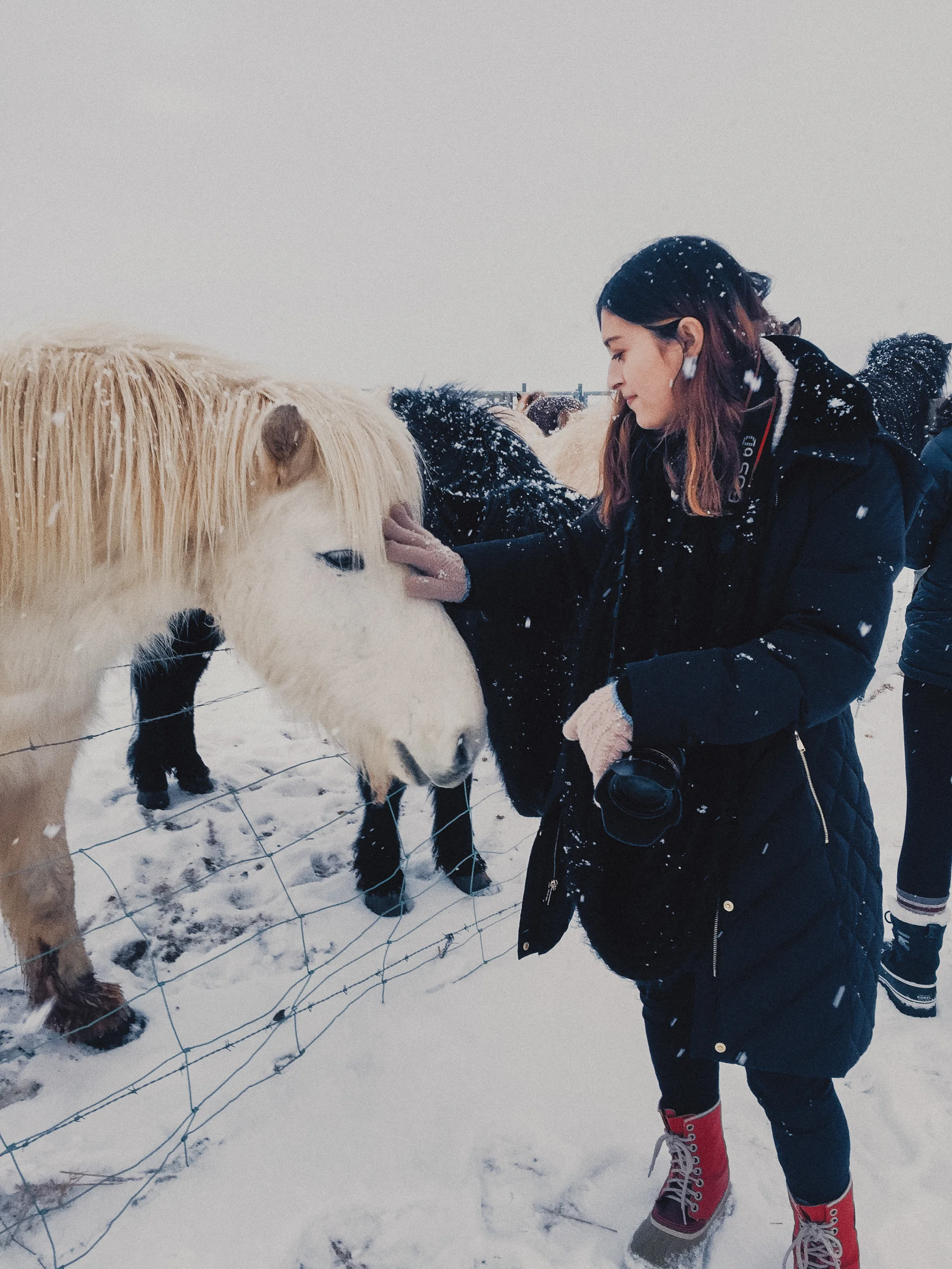 iceland-80.jpg