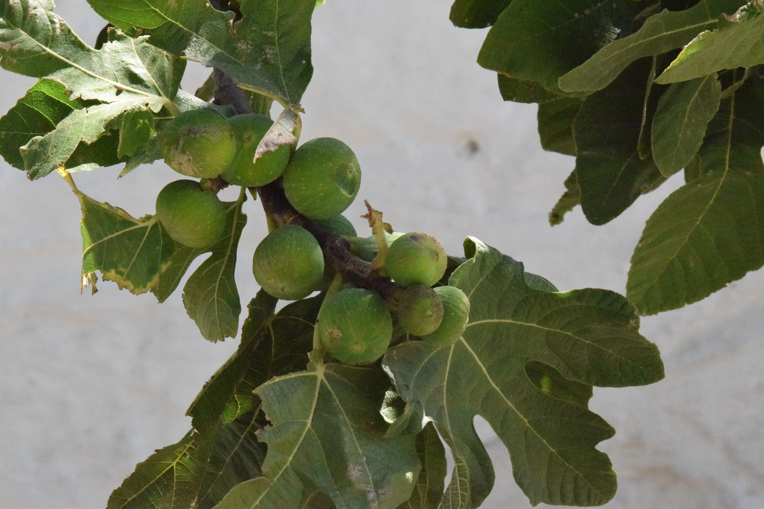 Choose from a variety of nutrition services.