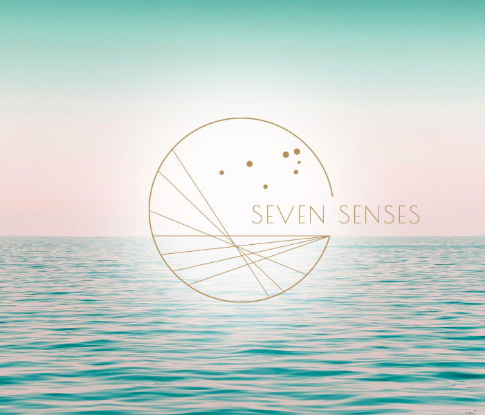 Understanding the Subtle Body, a new approach to preventative medicine
