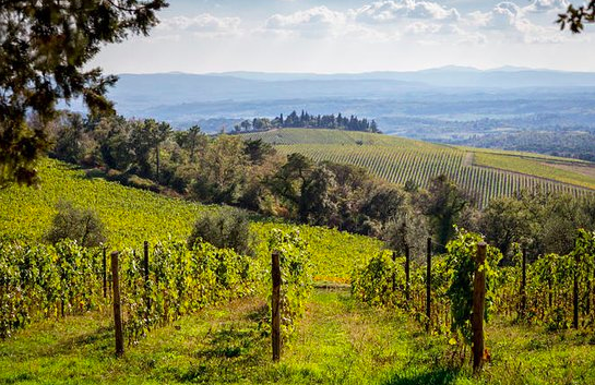 Seven Senses Tuscany Retreat