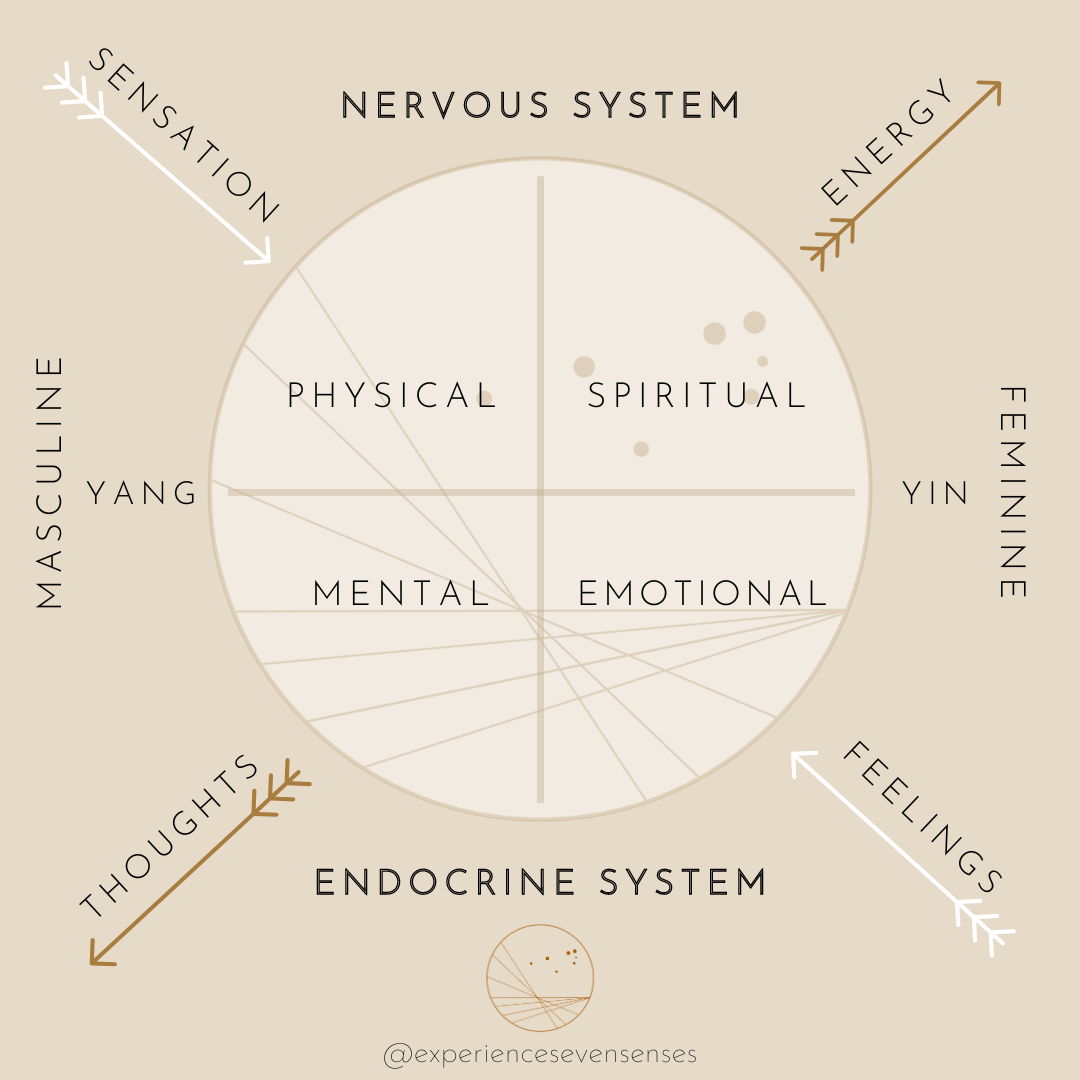 Copy of New SS framework graphic.png