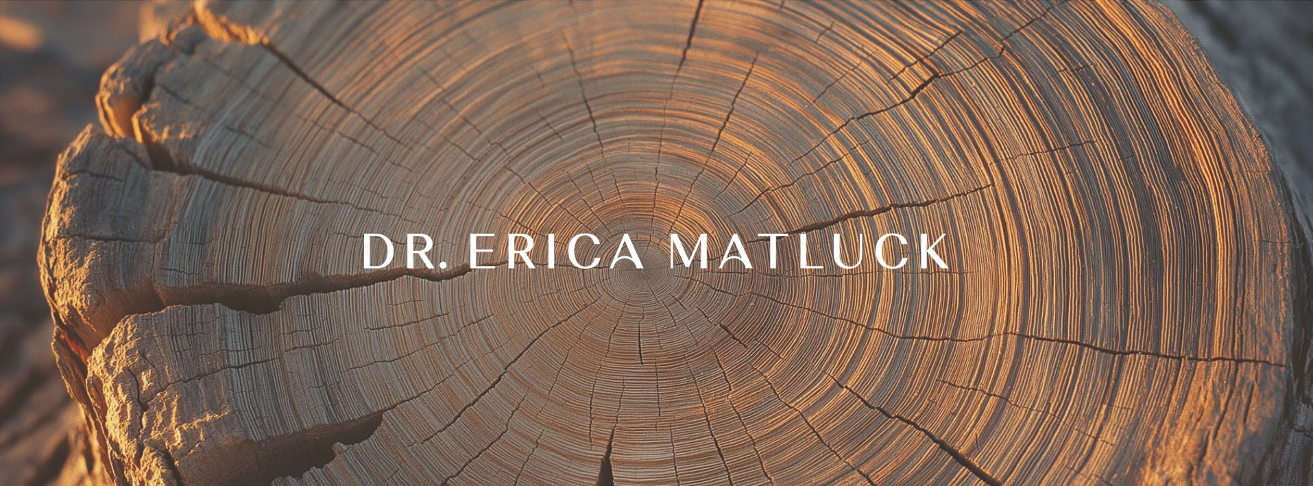 Copy of becoming whole ....png