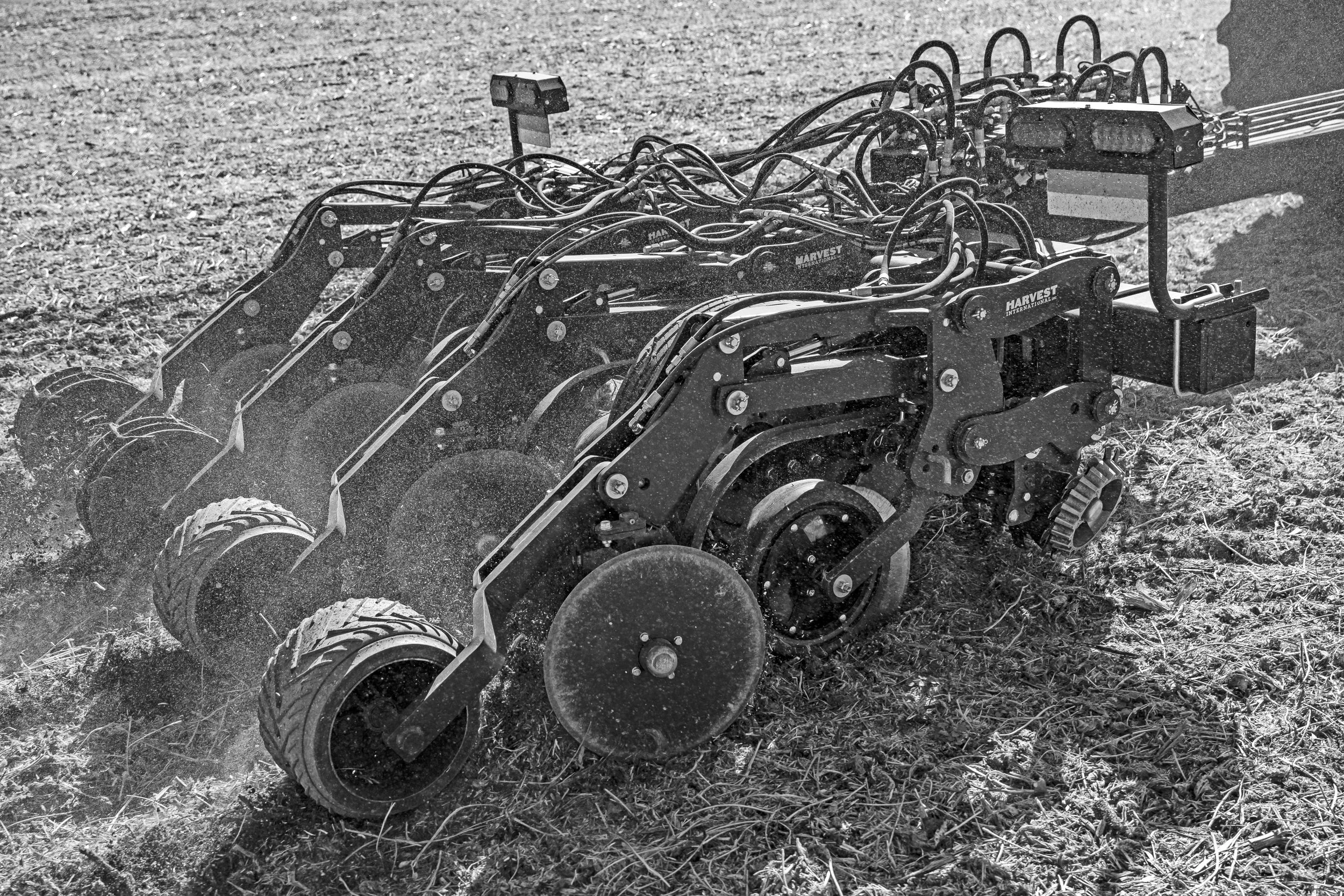 LT1_VA_10.25.23_soybeans_5 BW 2.jpg