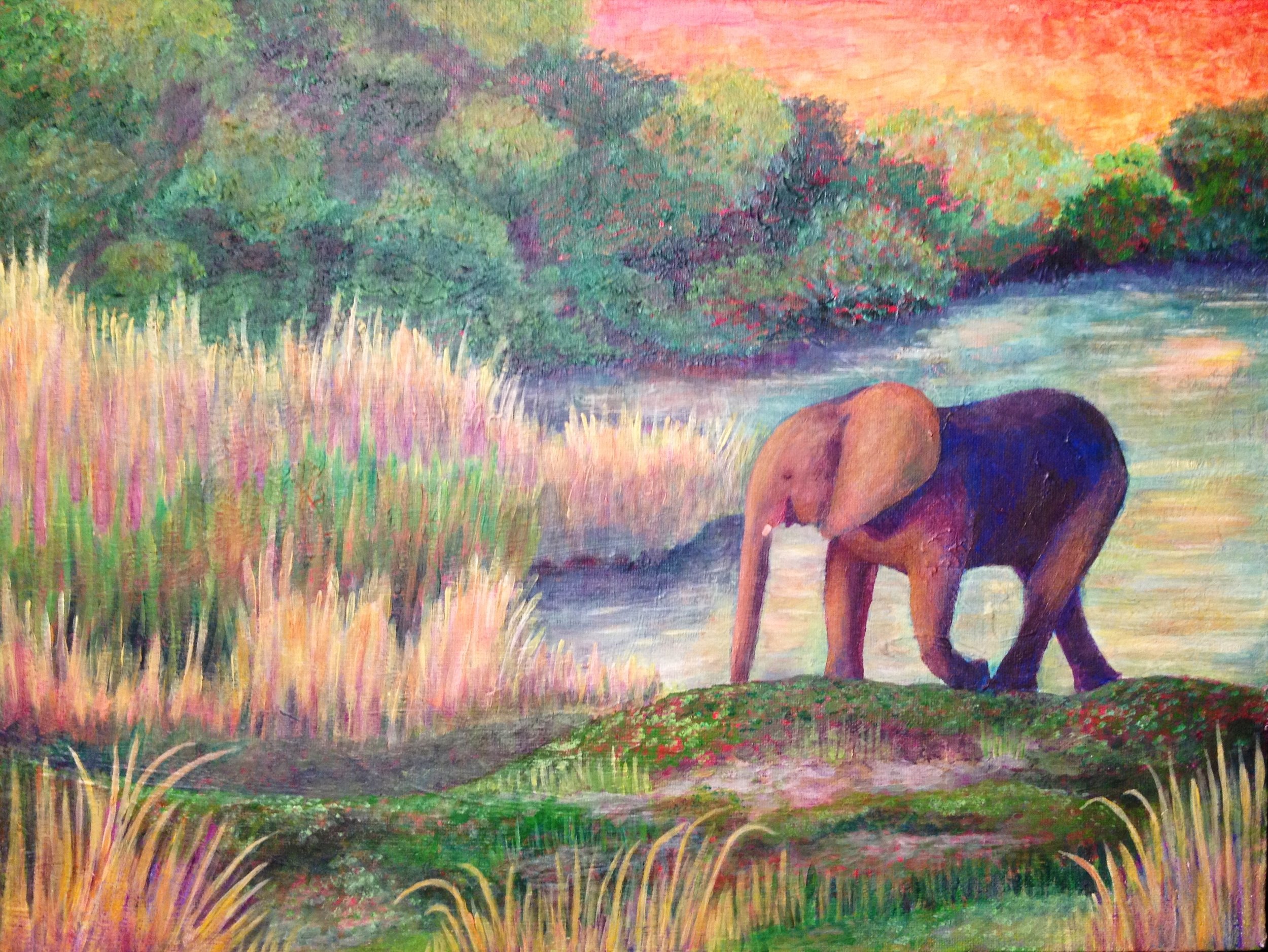 elephant.jpg