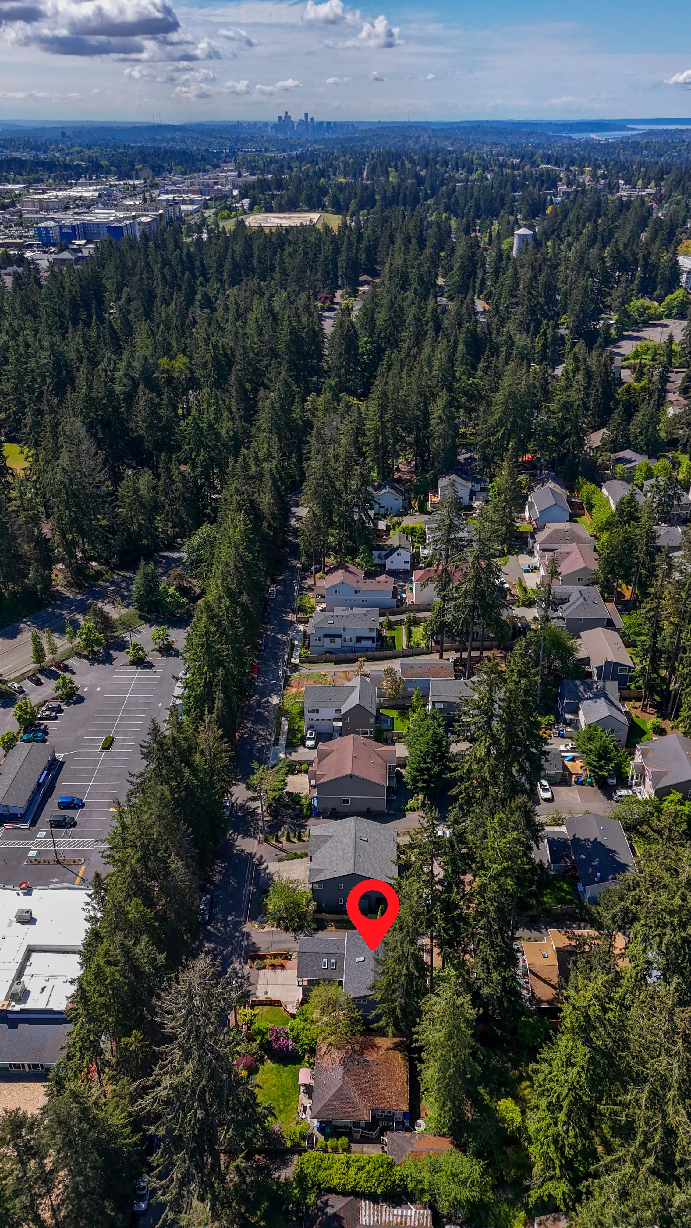 Drone Web-26.jpg