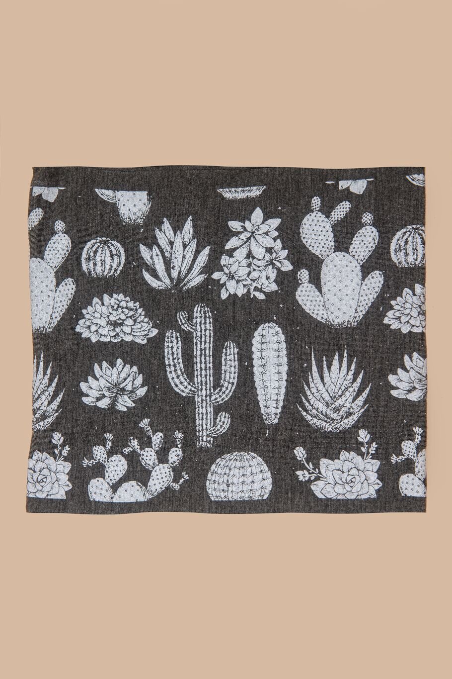 desert gray flat.jpg