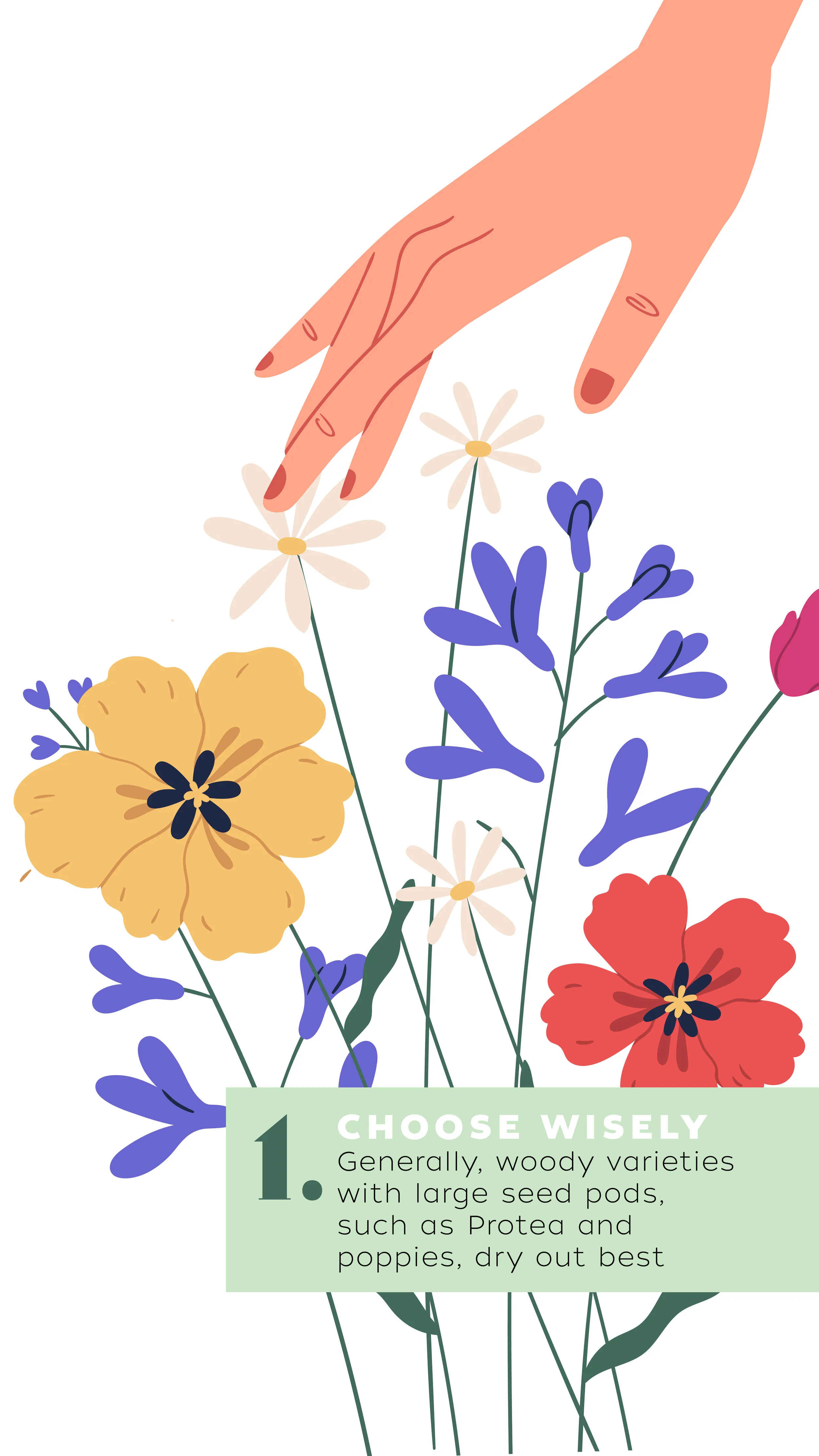 Drying Flowers3.jpg