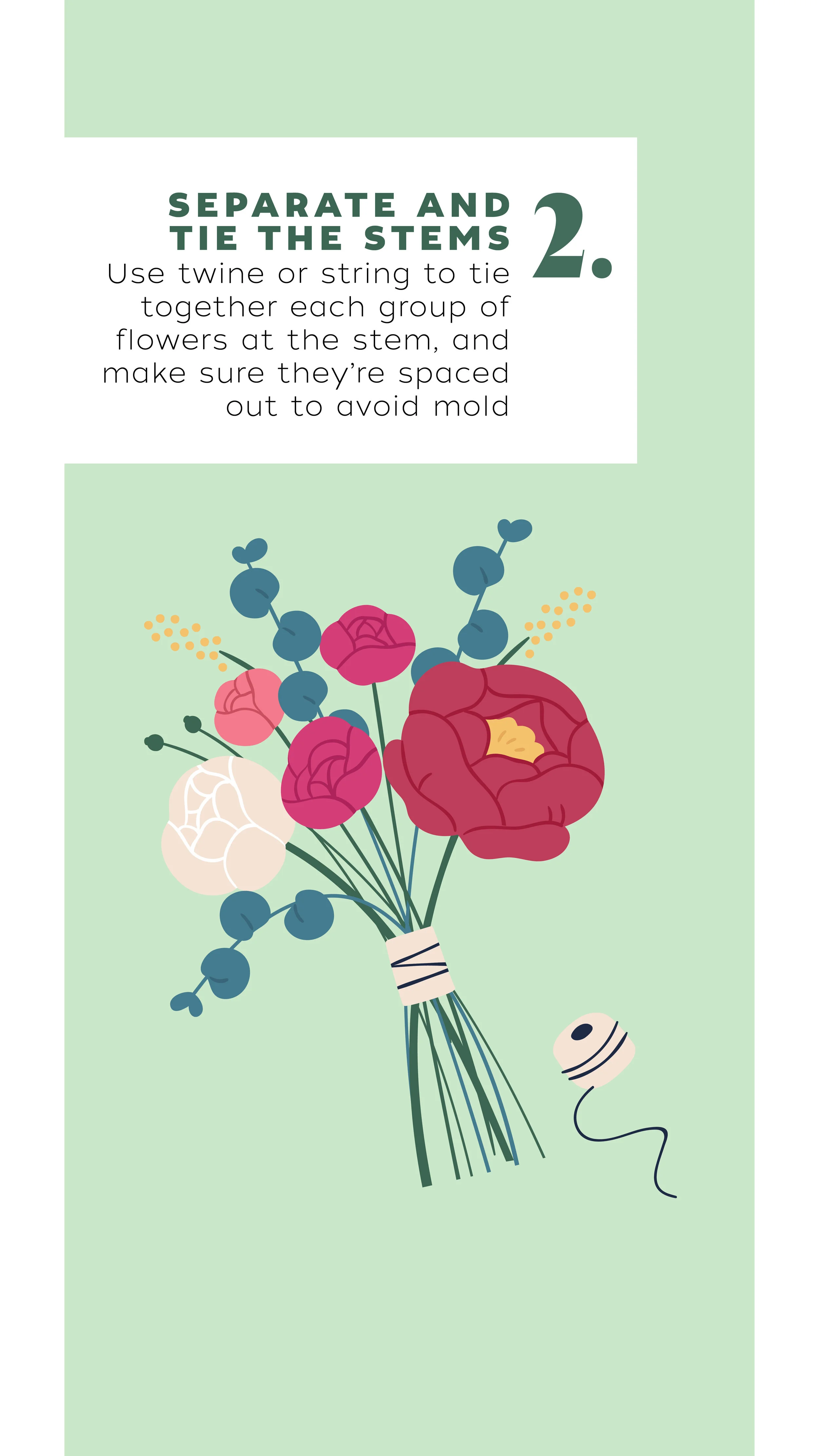 Drying Flowers4.jpg