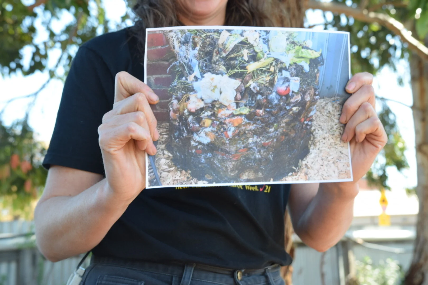As you can see, we learnt what healthy compost is the hard way!