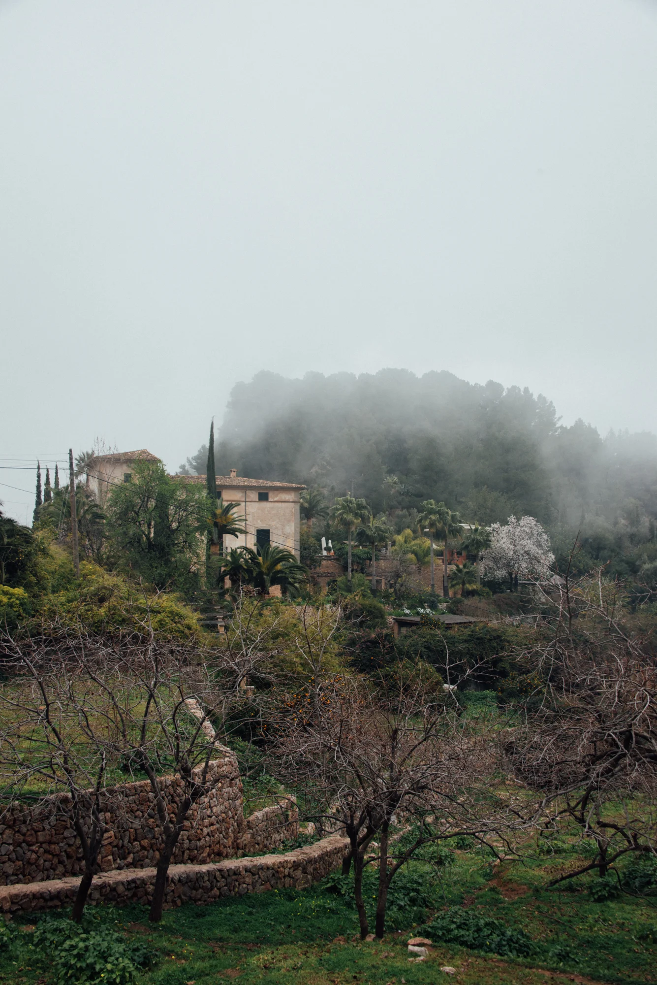 mallorca_february_2019-122.jpg