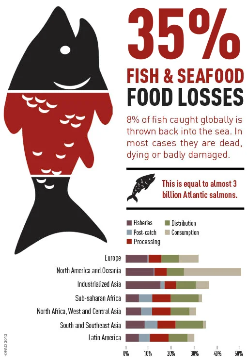fish_en.jpg