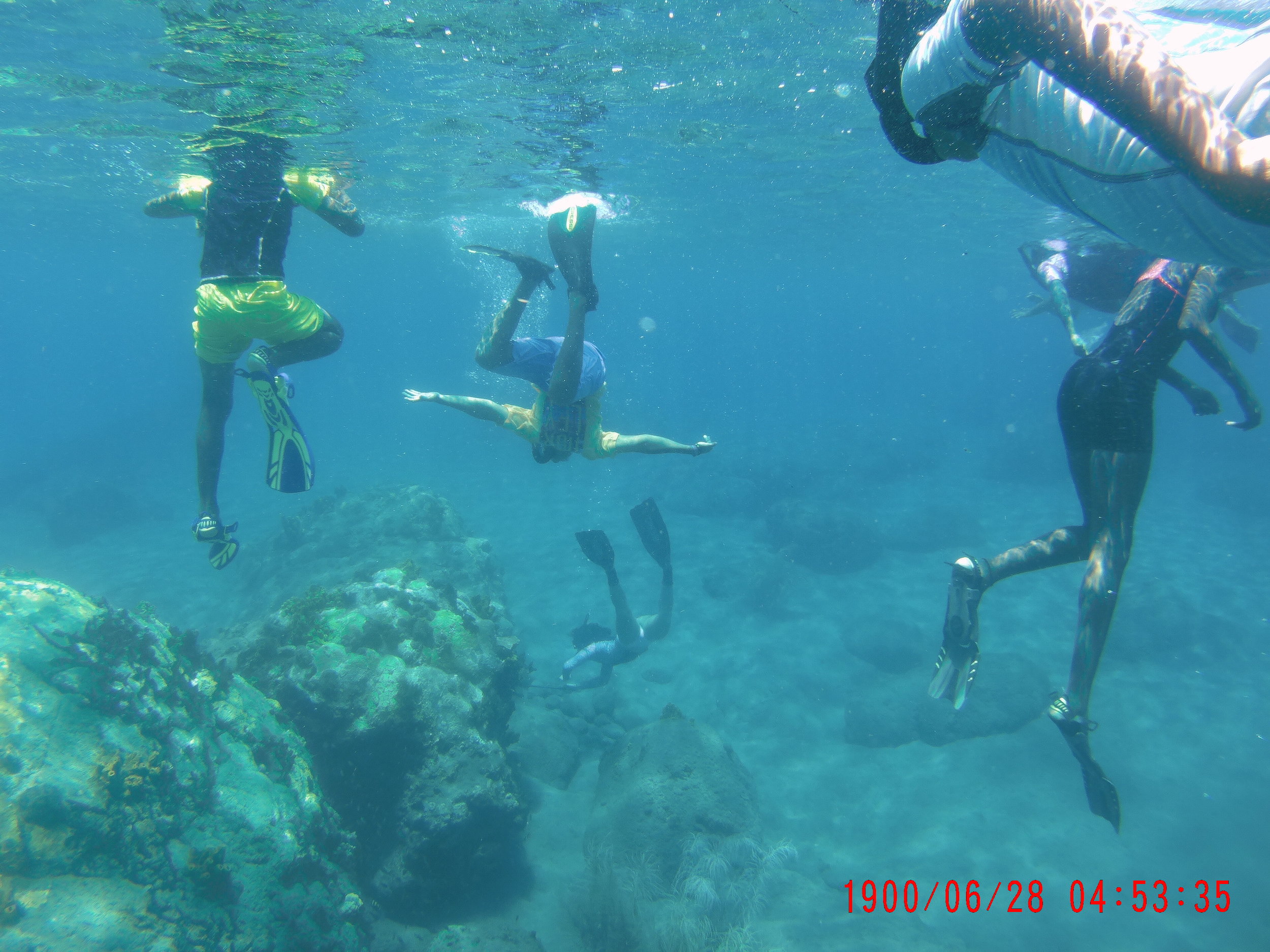 Snorkelling over the Little Bay reefs