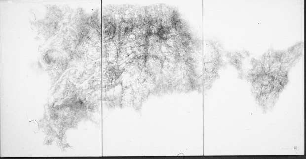 Junko Chodos, Dead Flower Series, No. 8, Byoobu, Pen-and-ink with wash.