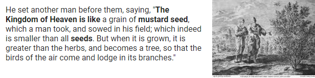 Mustard_Seed.png