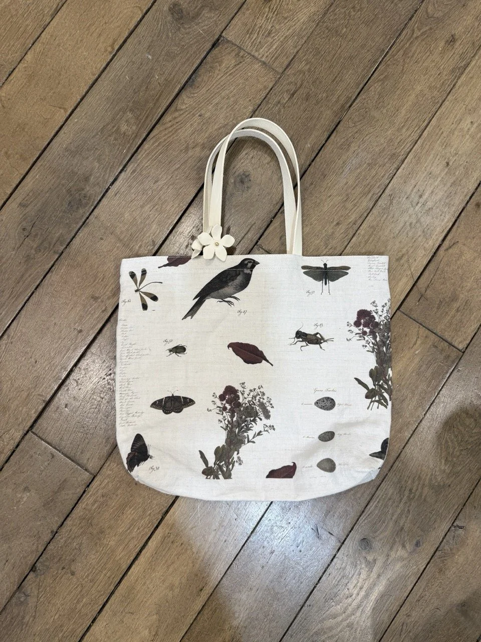 IMG_3456 – stor.jpeg