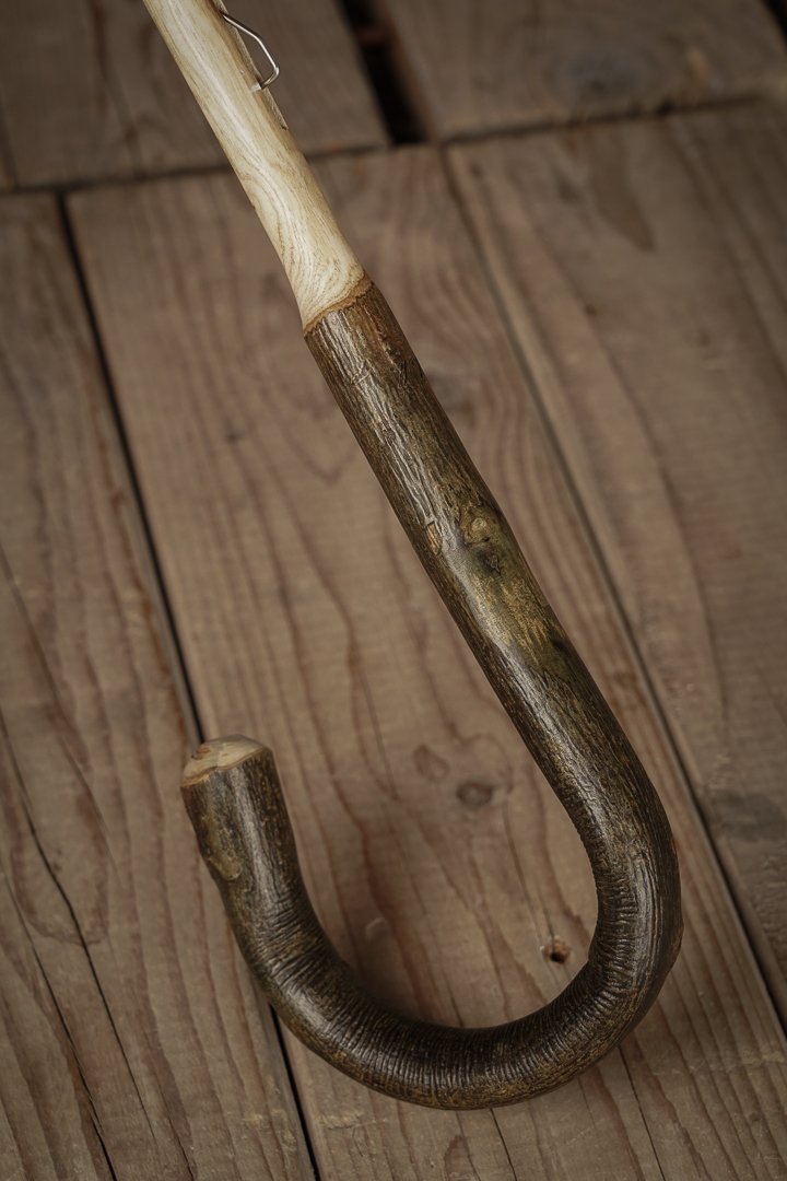 1025.05_2940.jpg