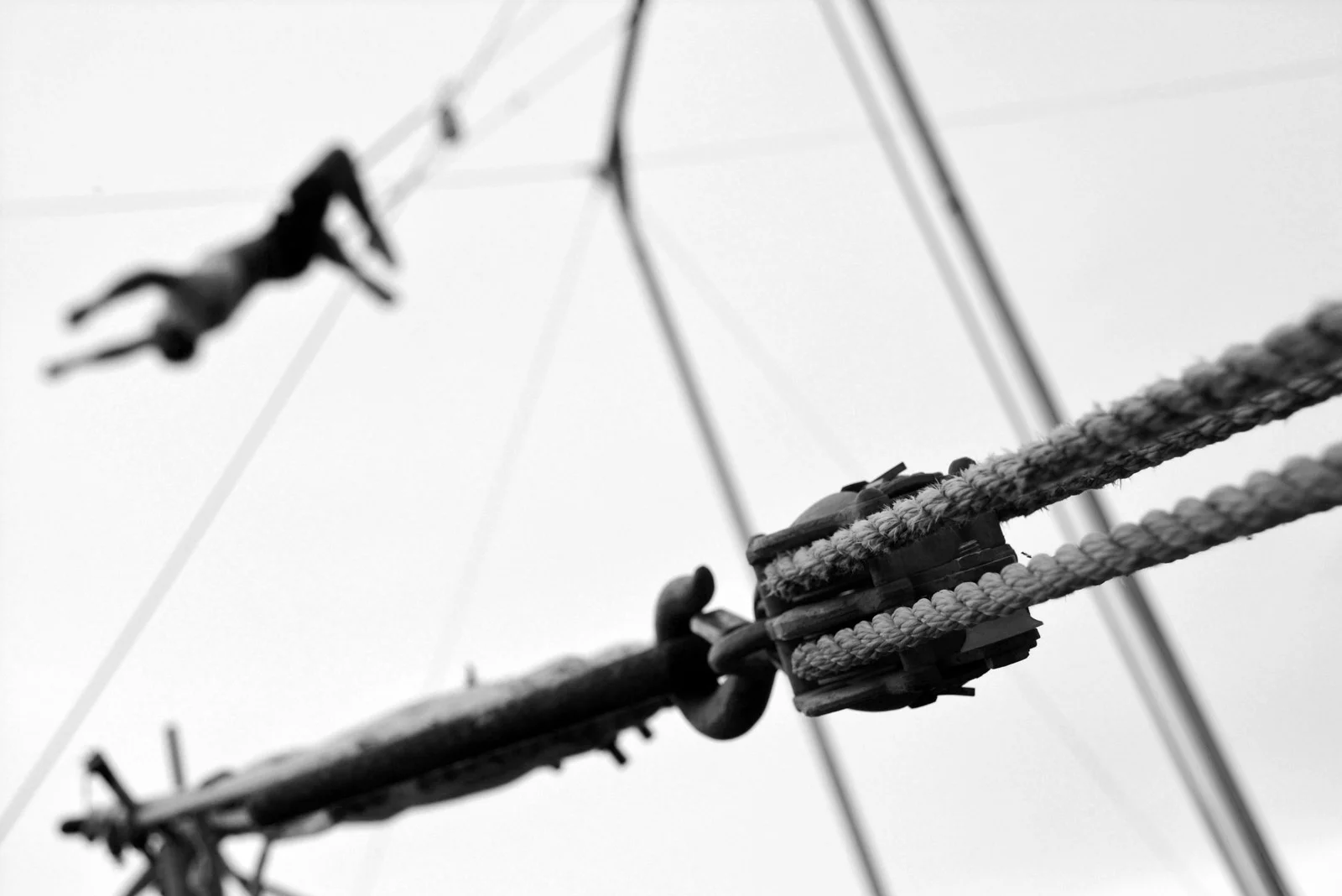 Trapeze-image-1600x1068-168k.jpg