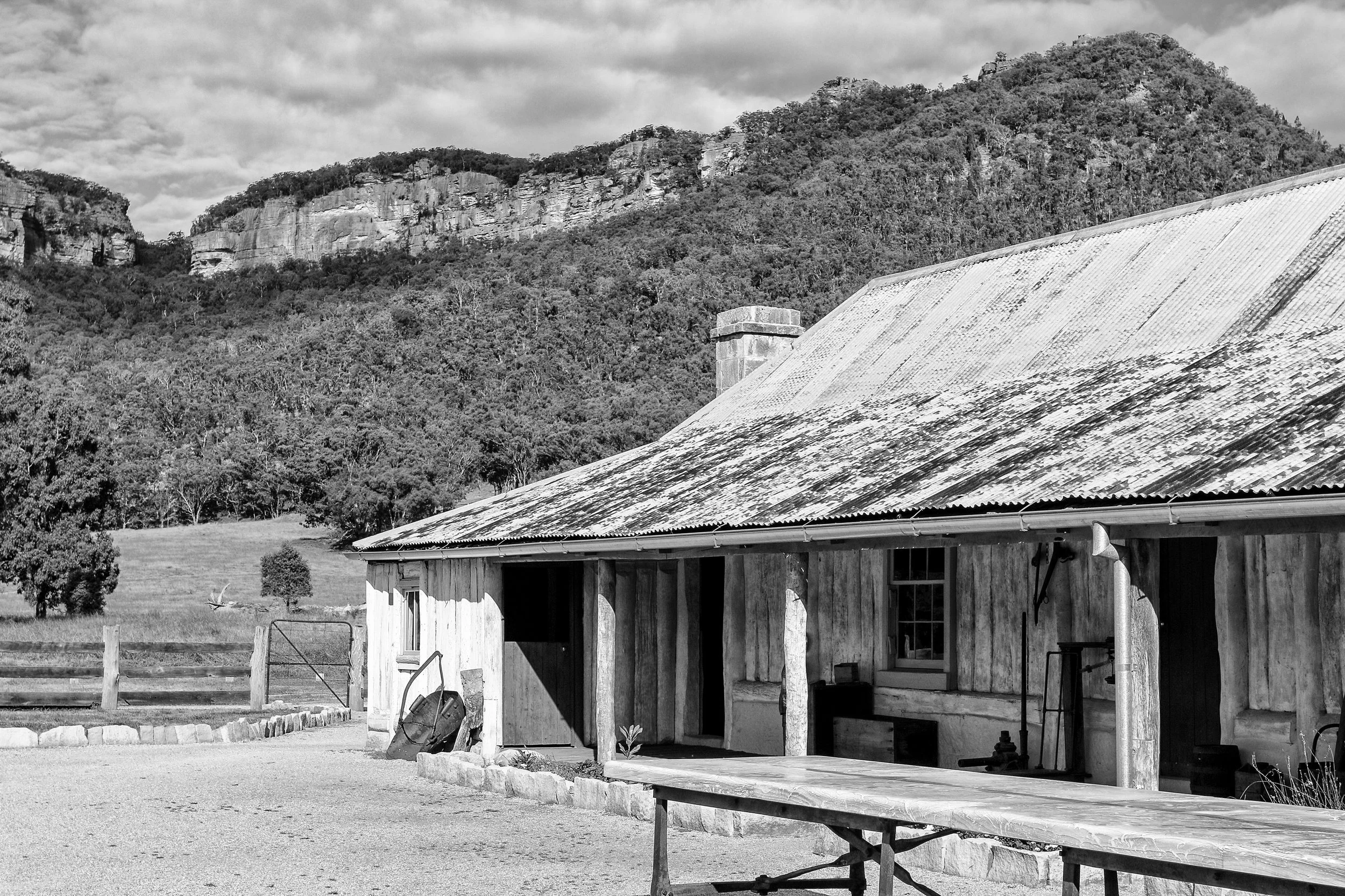 IMG_7446 (BW)-Edit.jpg