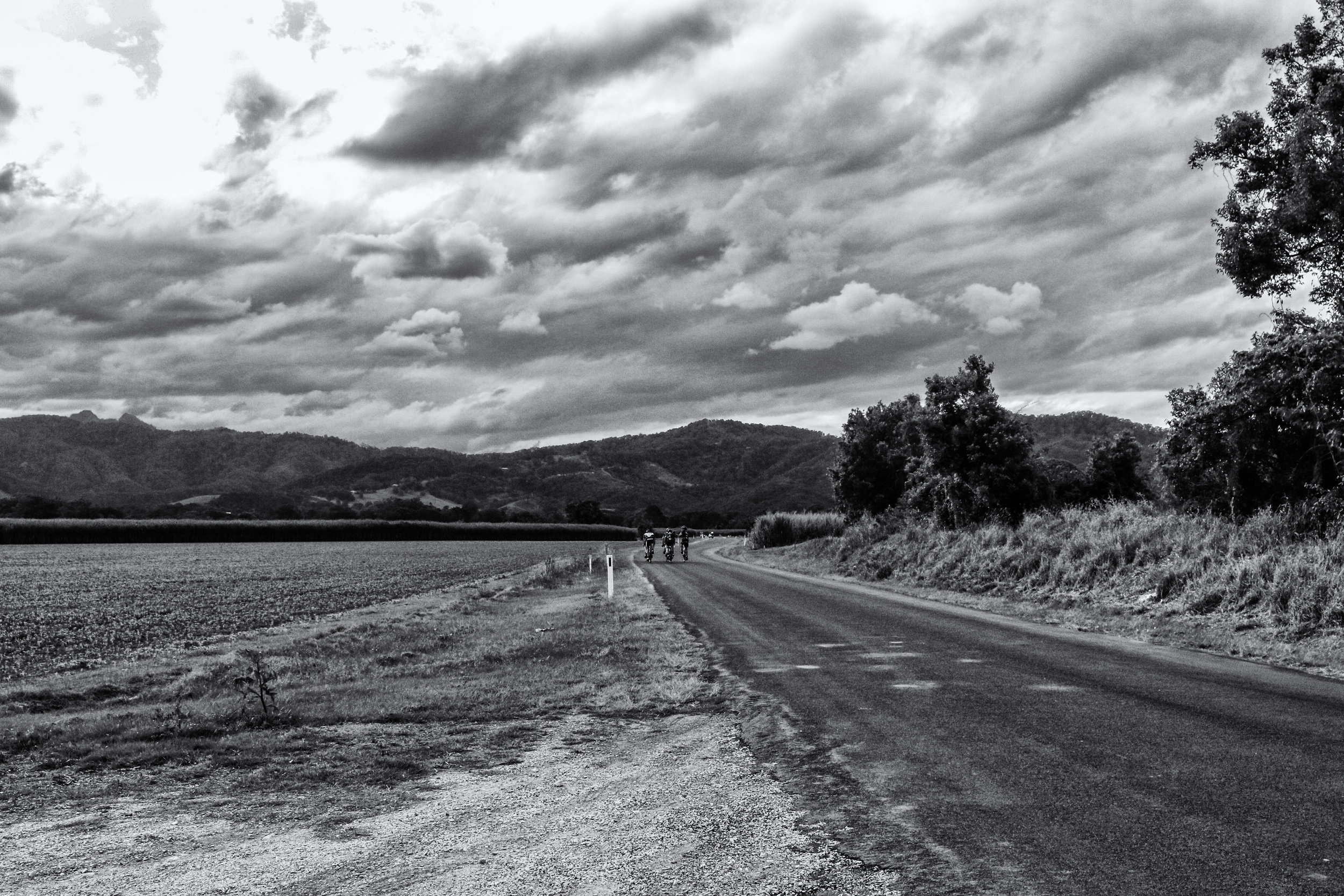 IMG_8459 (BW)-Edit.jpg