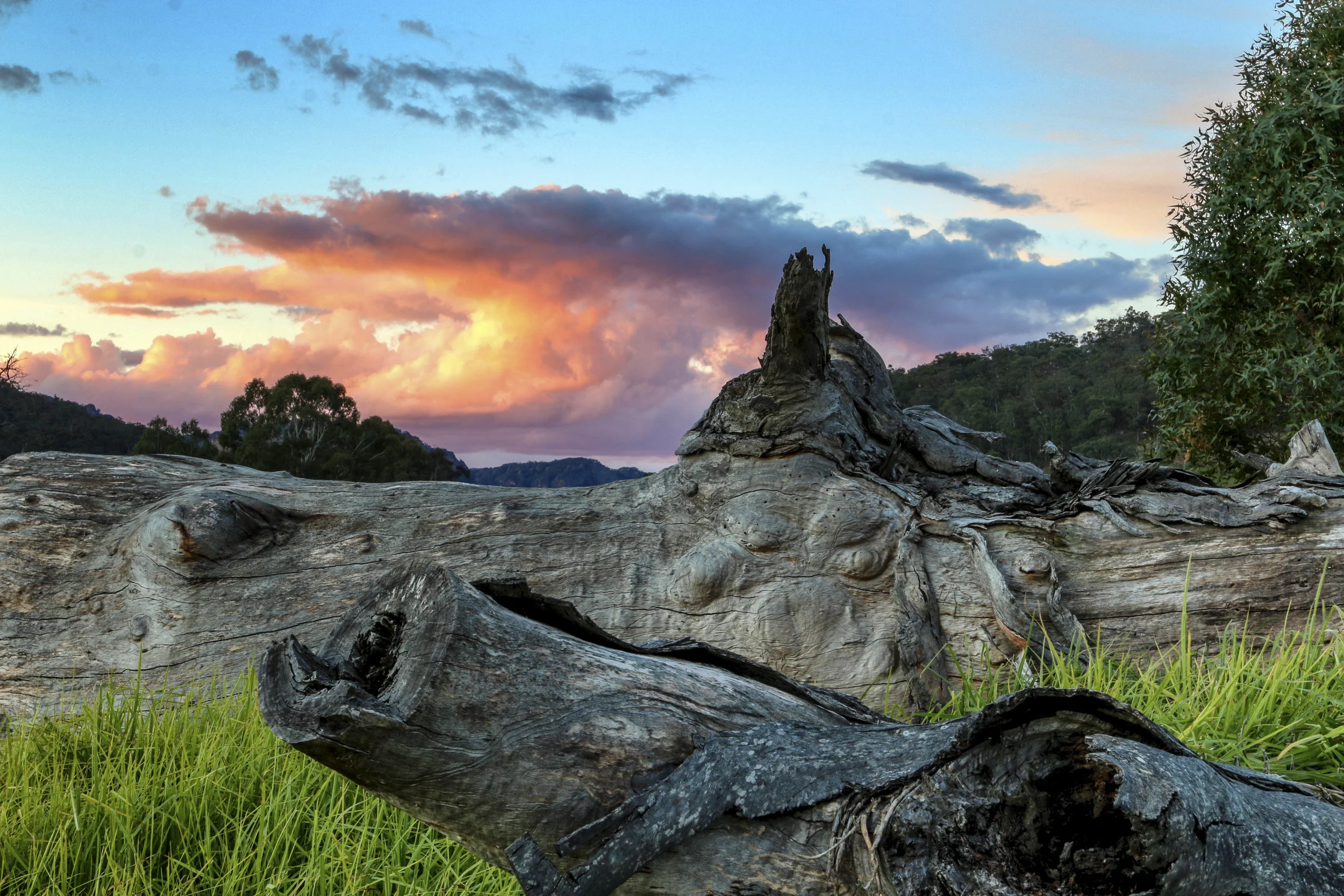 IMG_7612-Edit.jpg