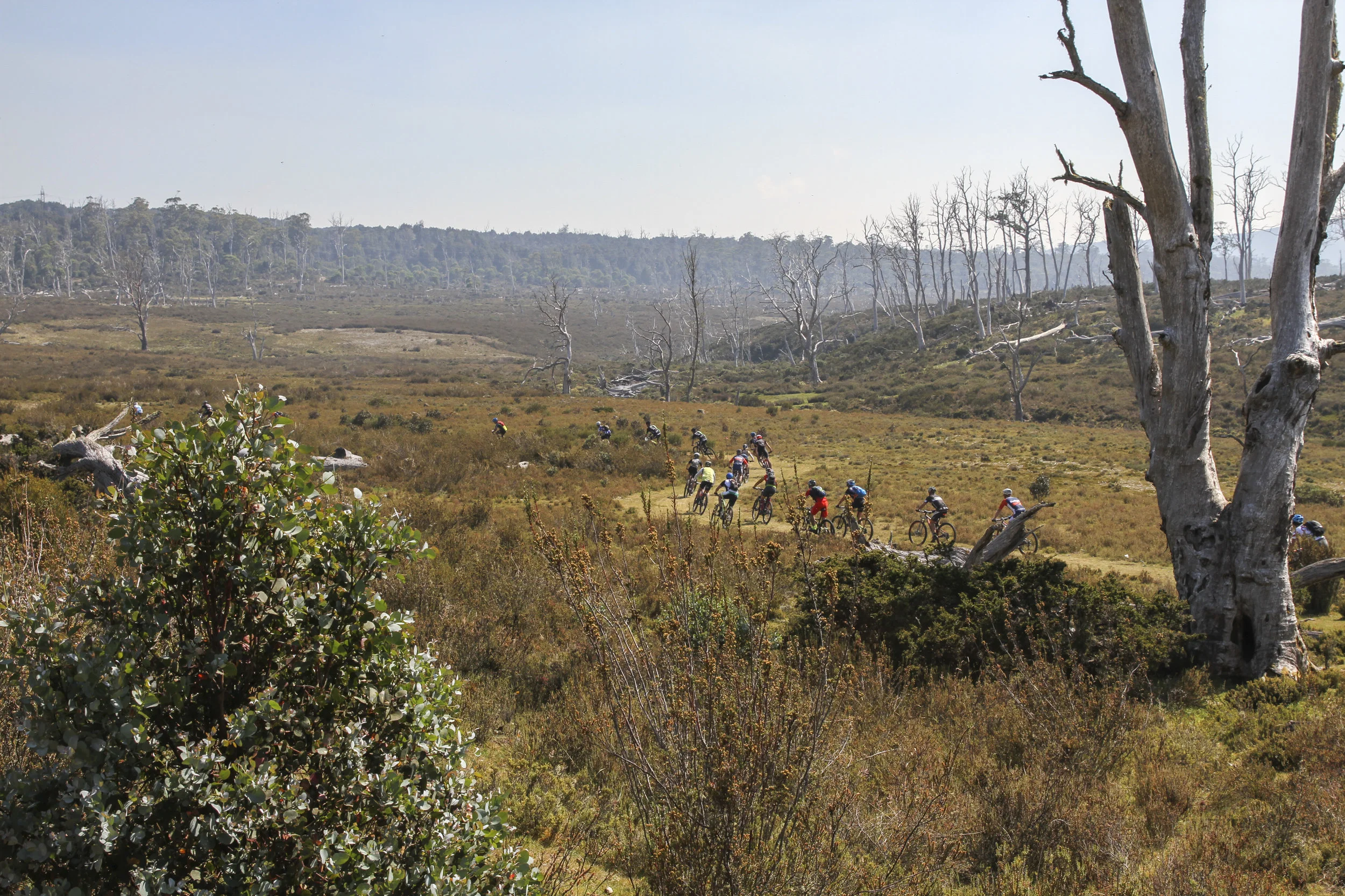 C7D_5681.jpg