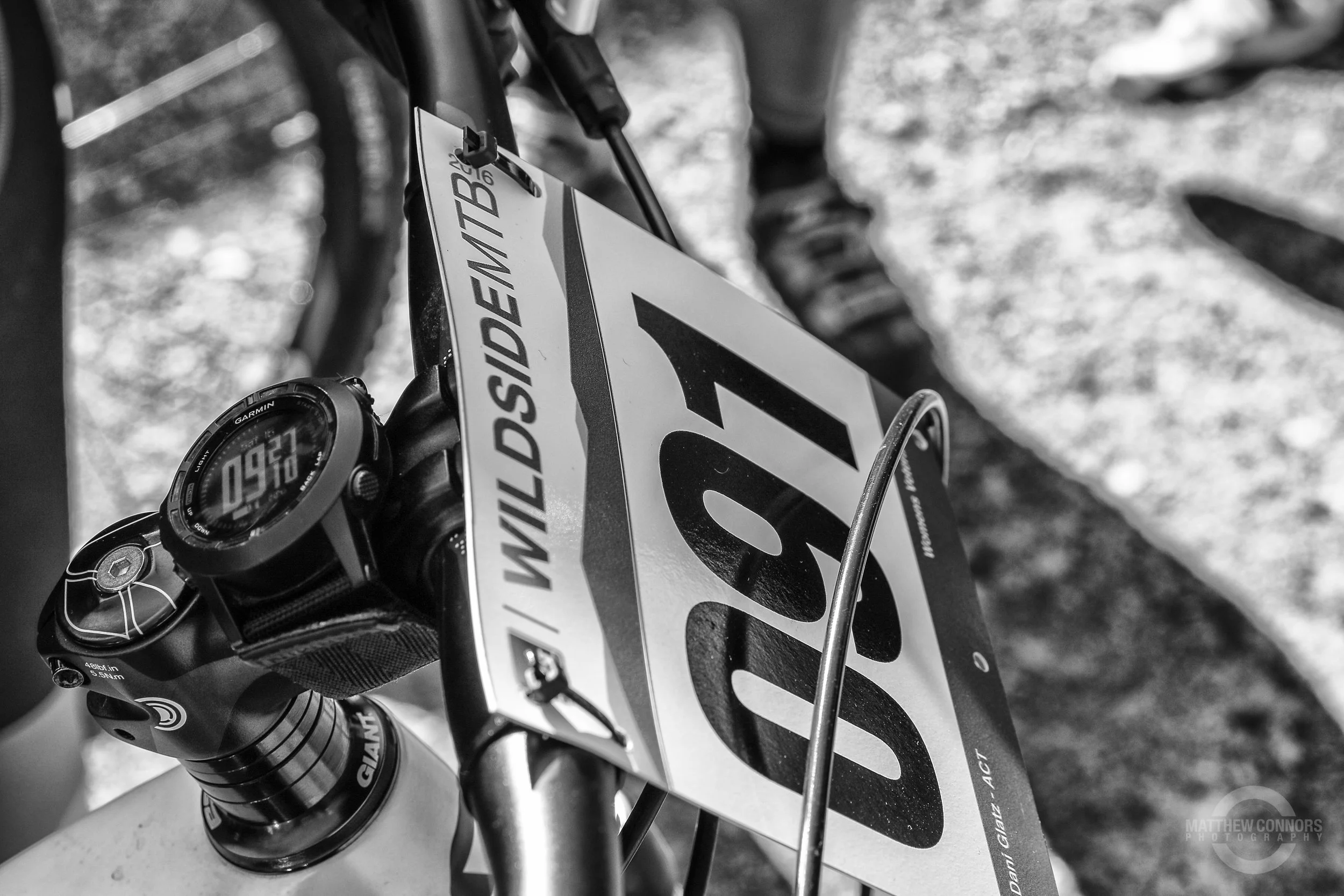 IMG_3419-Edit.jpg