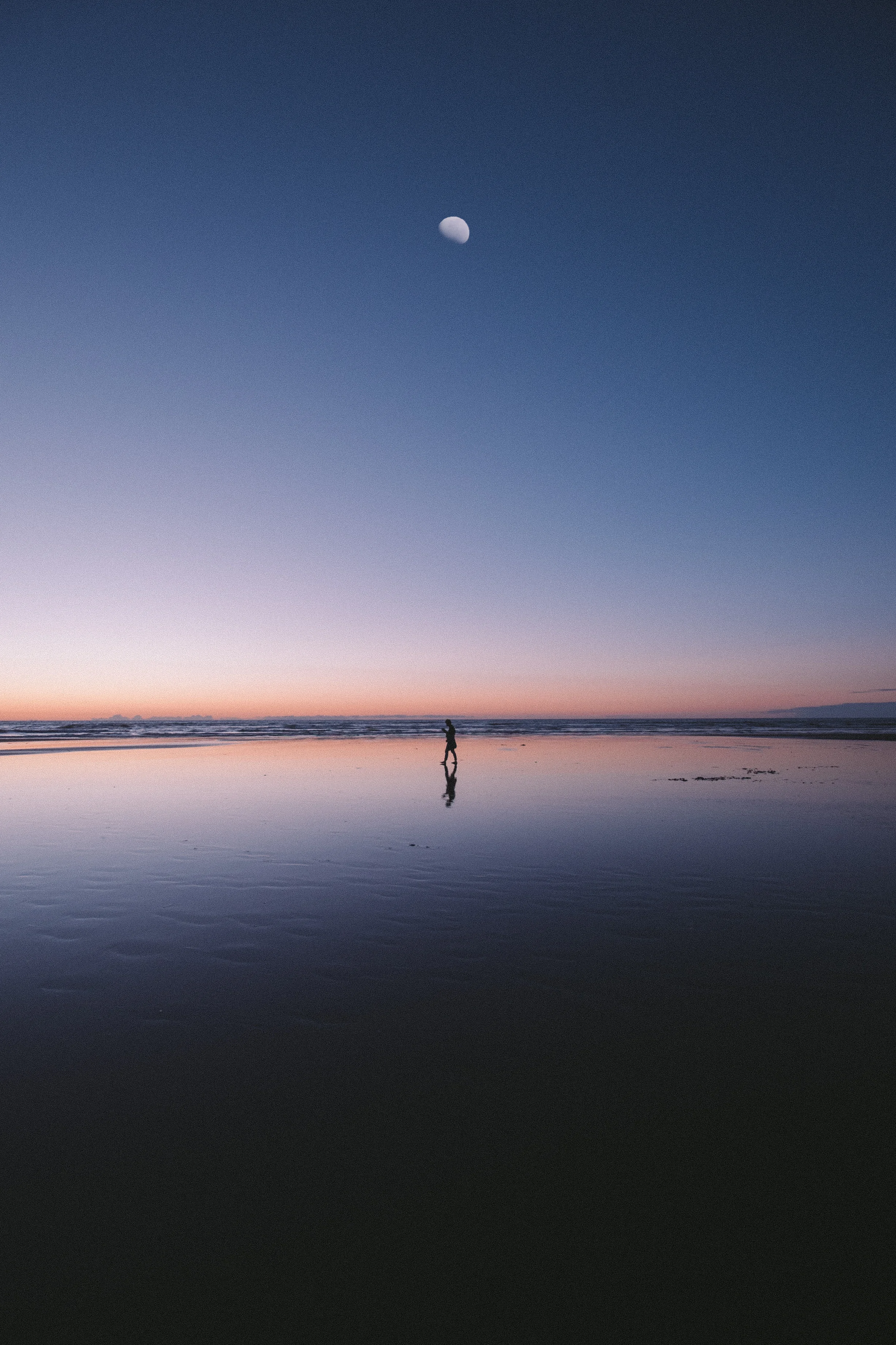 Moonbeam