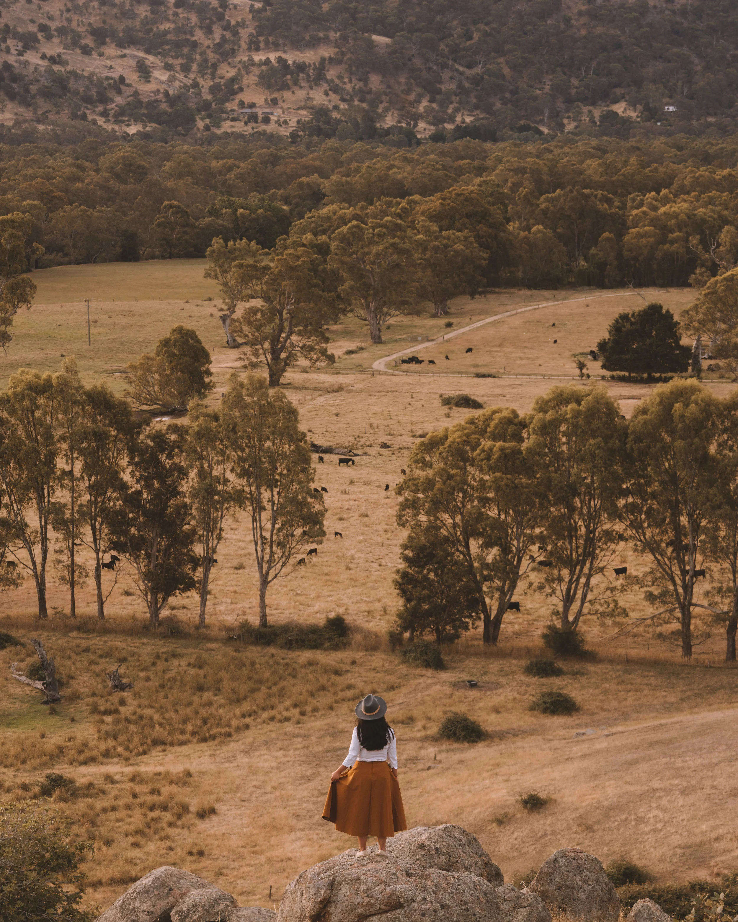 EM_01951.jpg