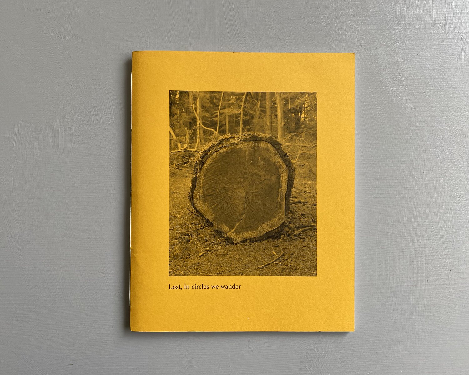 Lost in Circles we Wander Alex Catt Lost, in circles we wander by Alex Catt is a meditation on the temporality of existence, a collection of images formed from an insatiable desire for exploration and questioning. A seemingly endless search ac