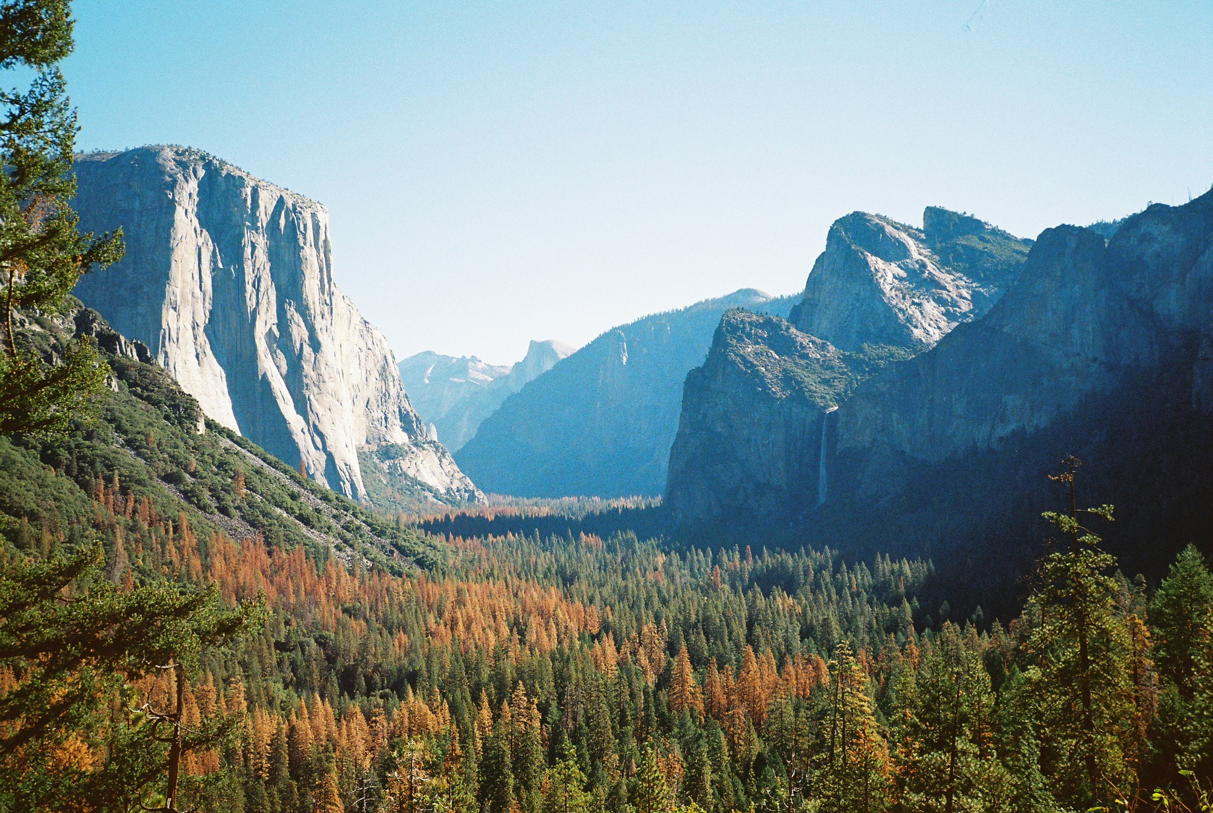   Yosemite National Park, California, USA   Rollei AFM 35 