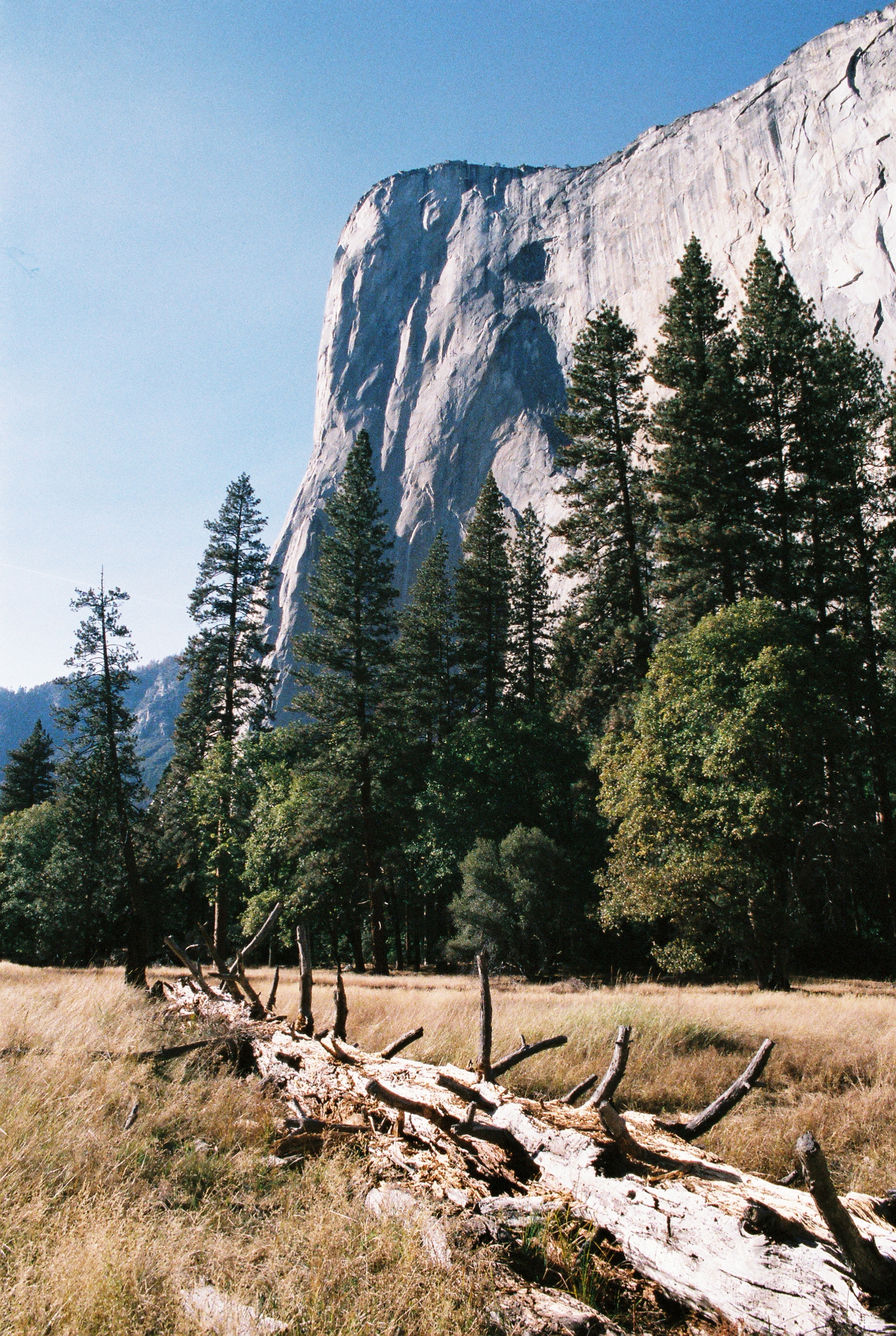   Yosemite National Park, California, USA   Olympus OM-2n 