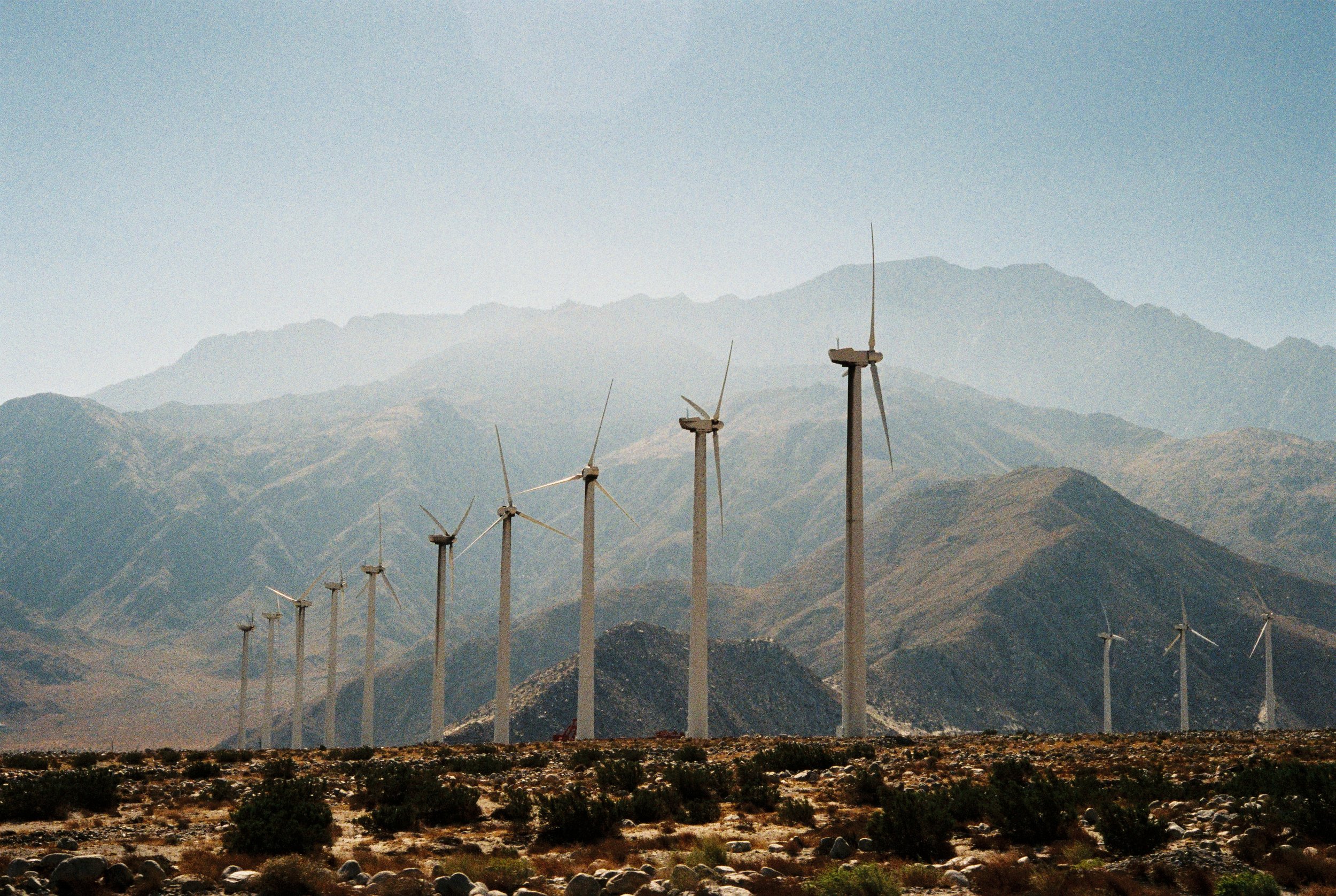   Palm Springs, California, USA   Voigtländer Bessa R4M 