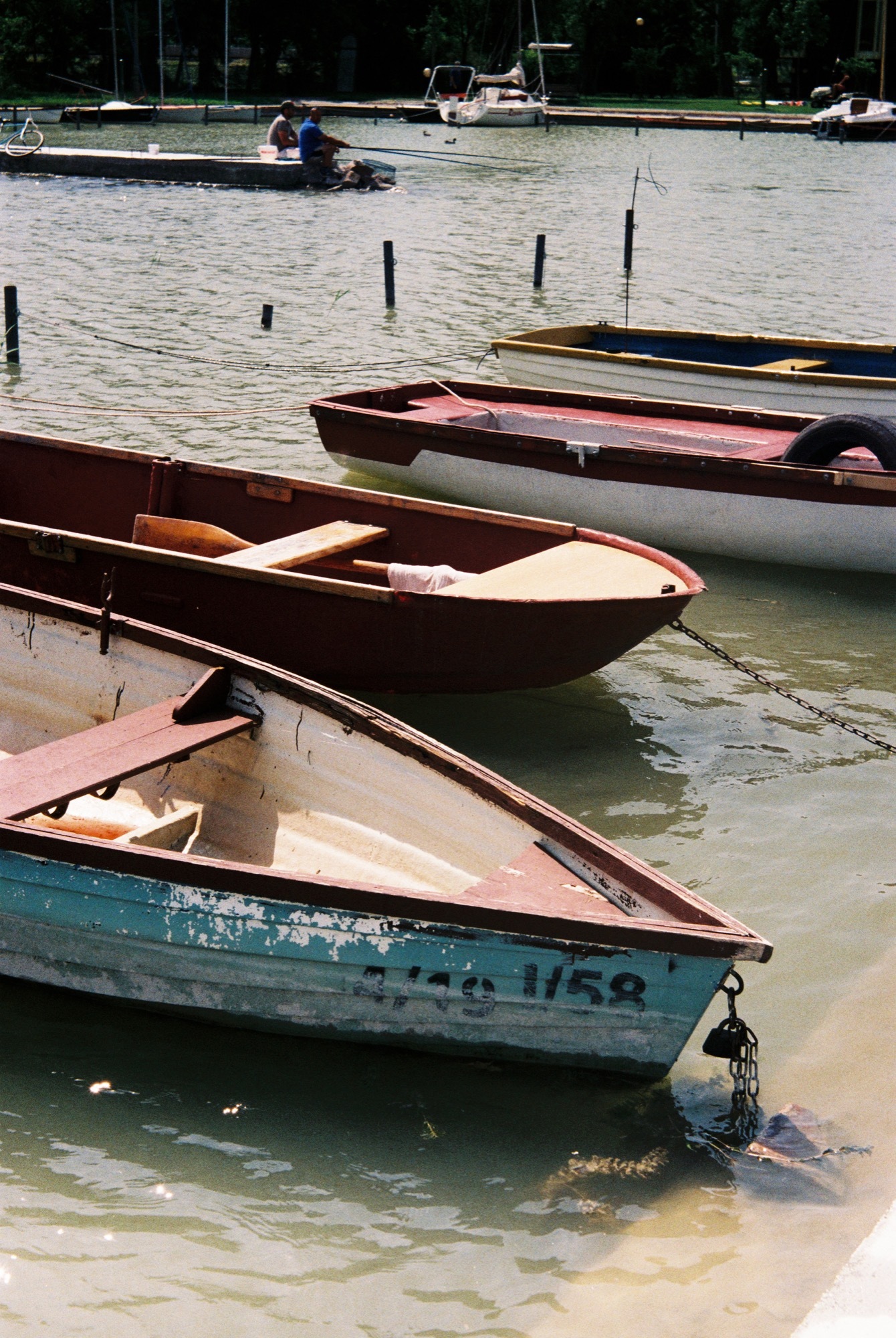 cameraville_balatonfenyves_zorki_fed_50mm_15.JPG