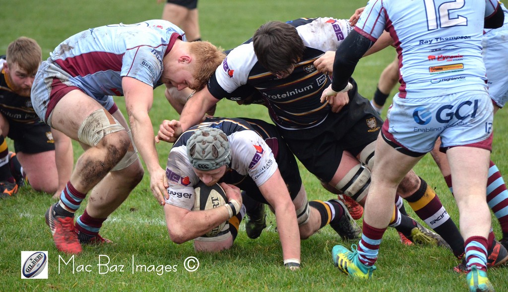 Caldy v Roth_29.jpg