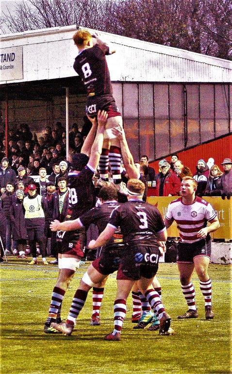 Rosslyn Park v Titans_2.jpg