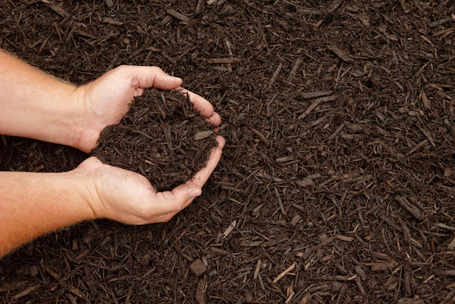 how-to-mulch-flower-beds.jpg