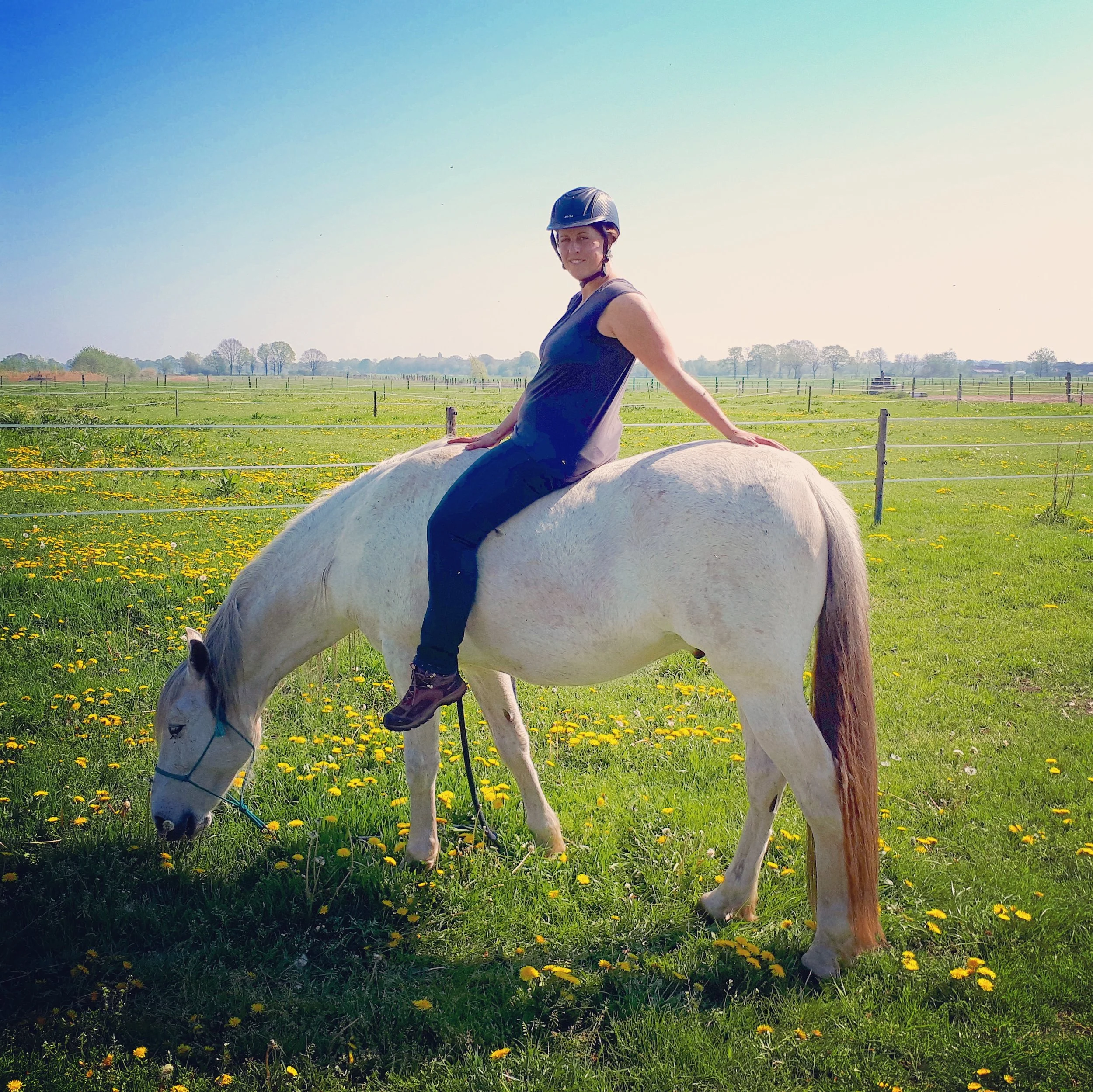 elearning natural horsemanship.jpg