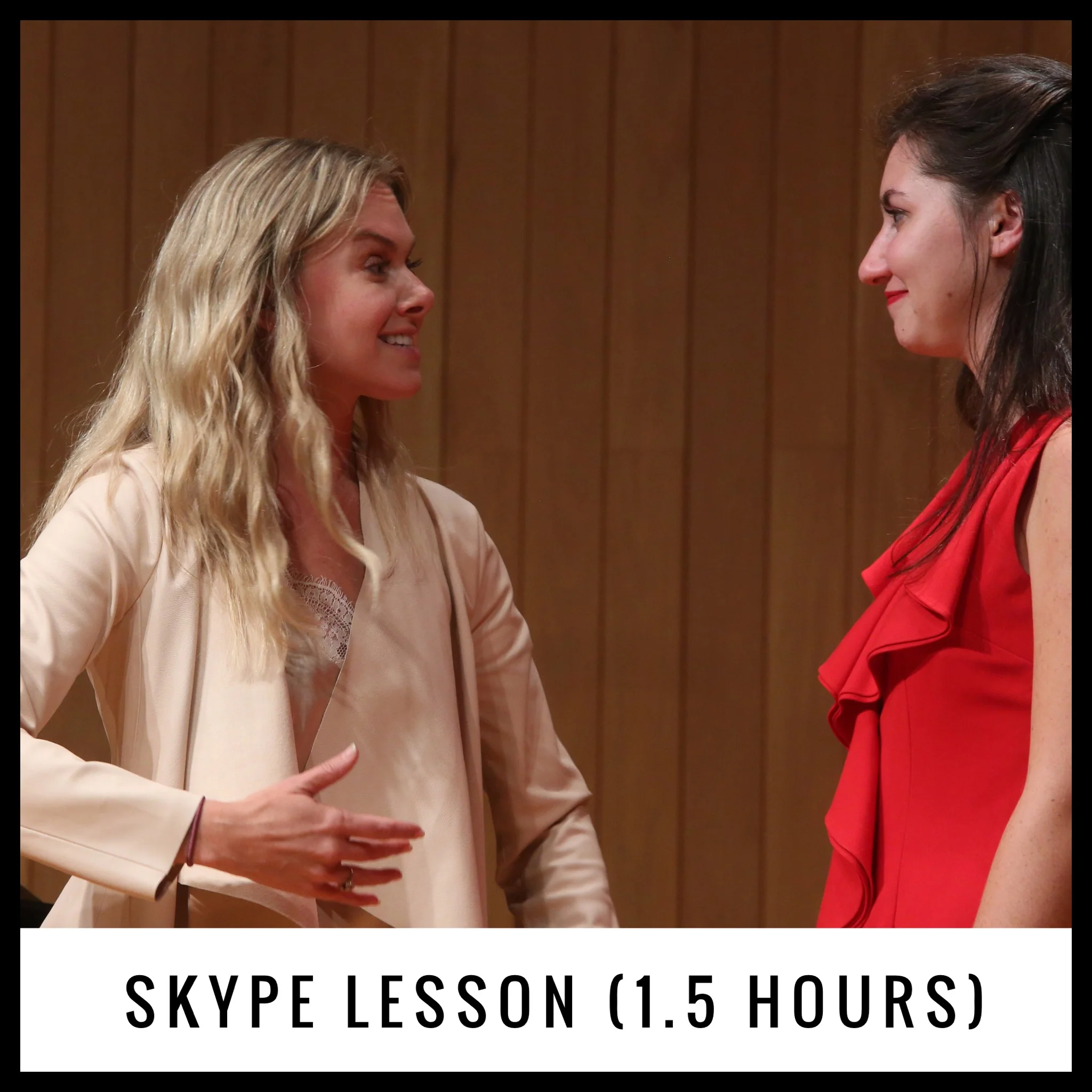 Skype Lesson (1.5 Hours)