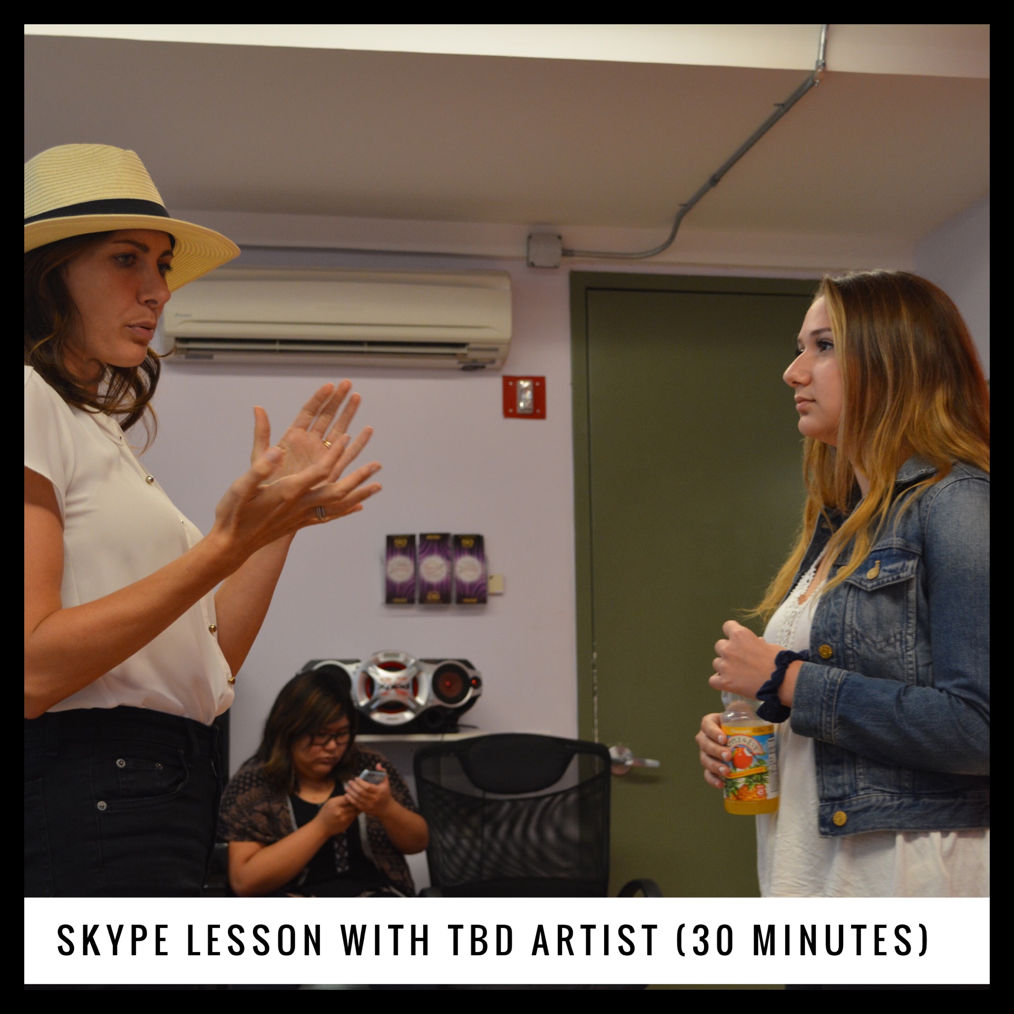 TBD Artist Skype (1/2 Hour)