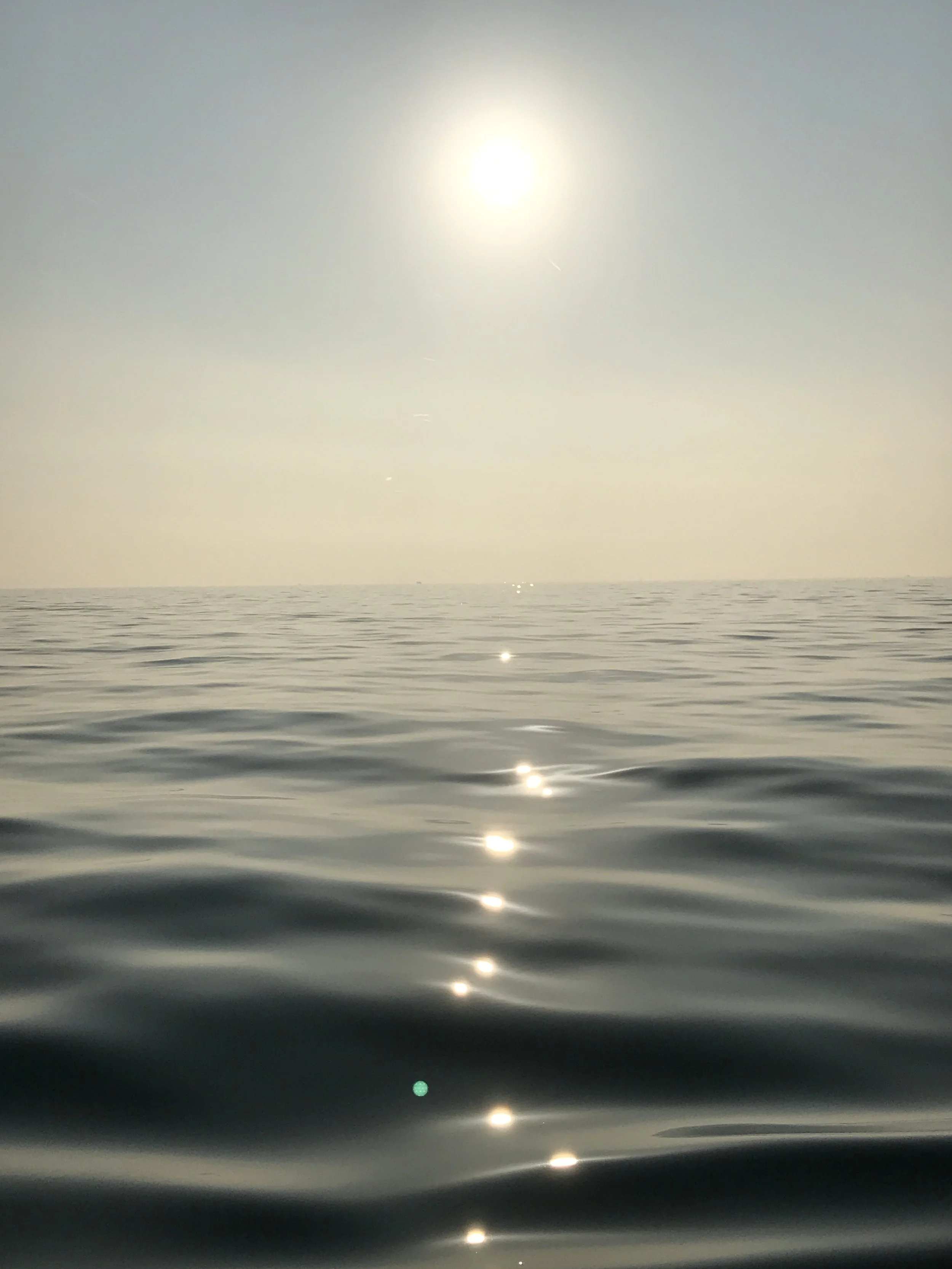 2017-08-27 07.41.13.jpg